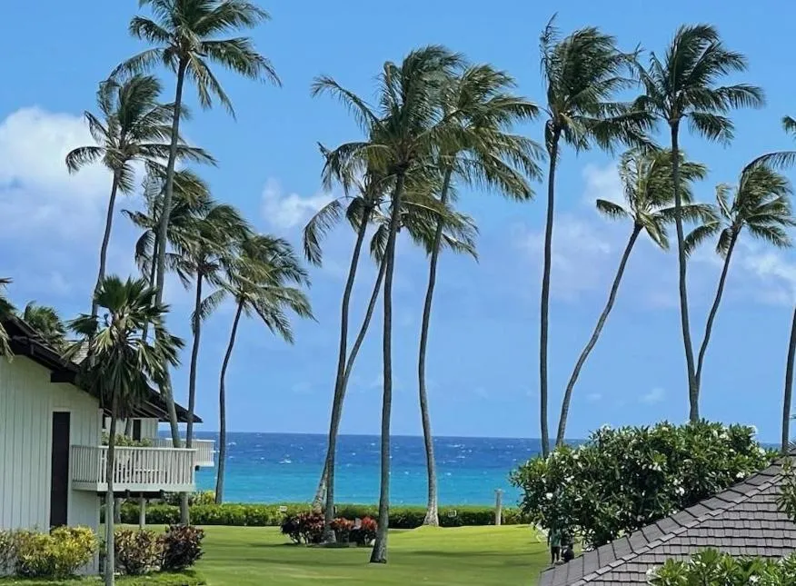 Sea view in Kiahuna Plantation