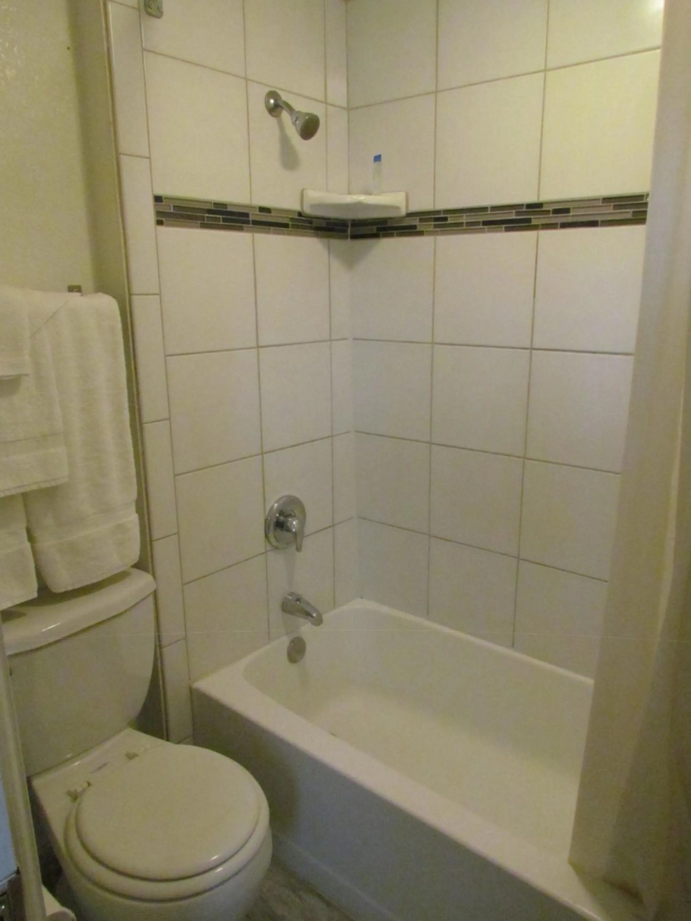 Shower in True North Motel