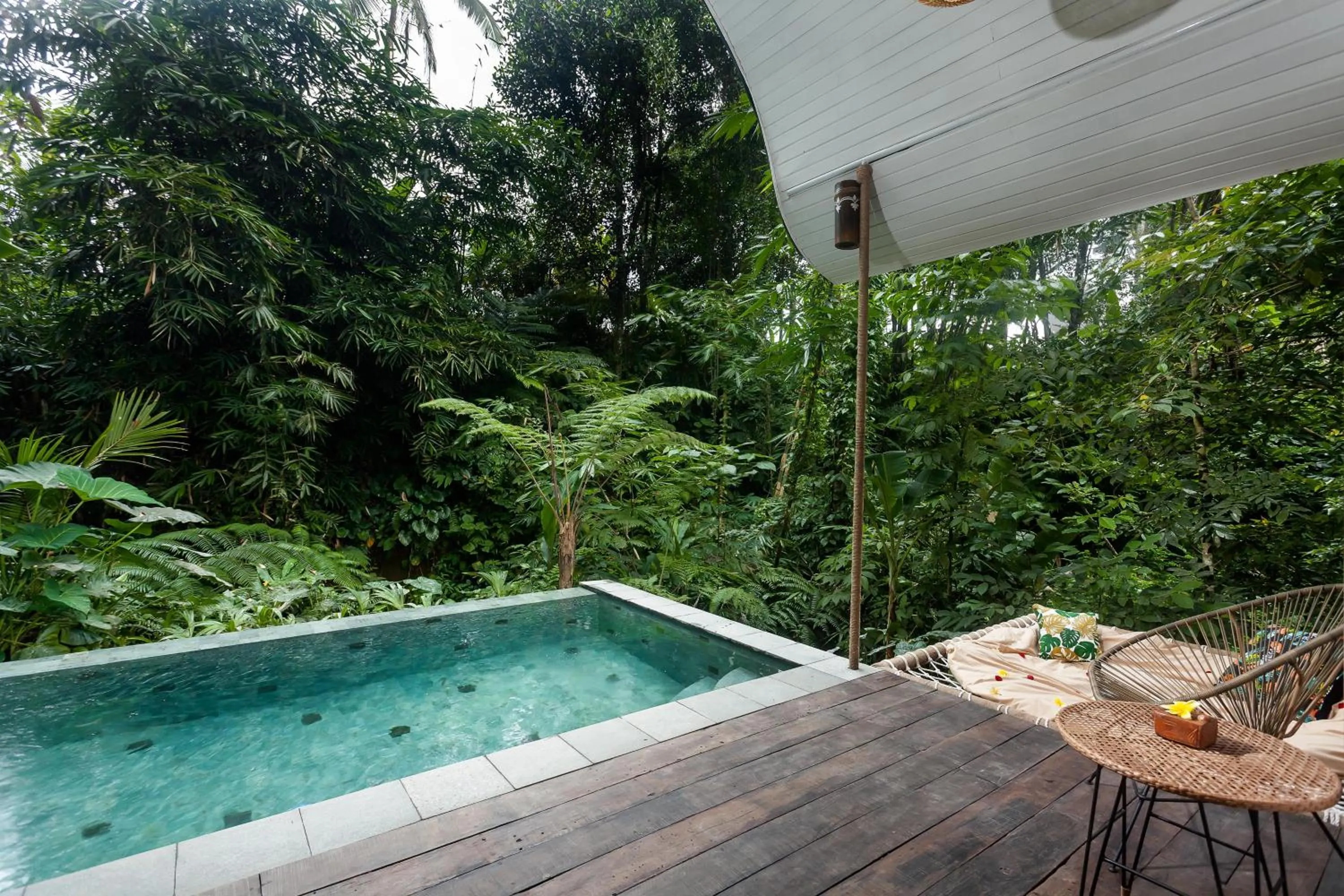 Swimming pool in Sacred Canyon Ubud by GenuineHost