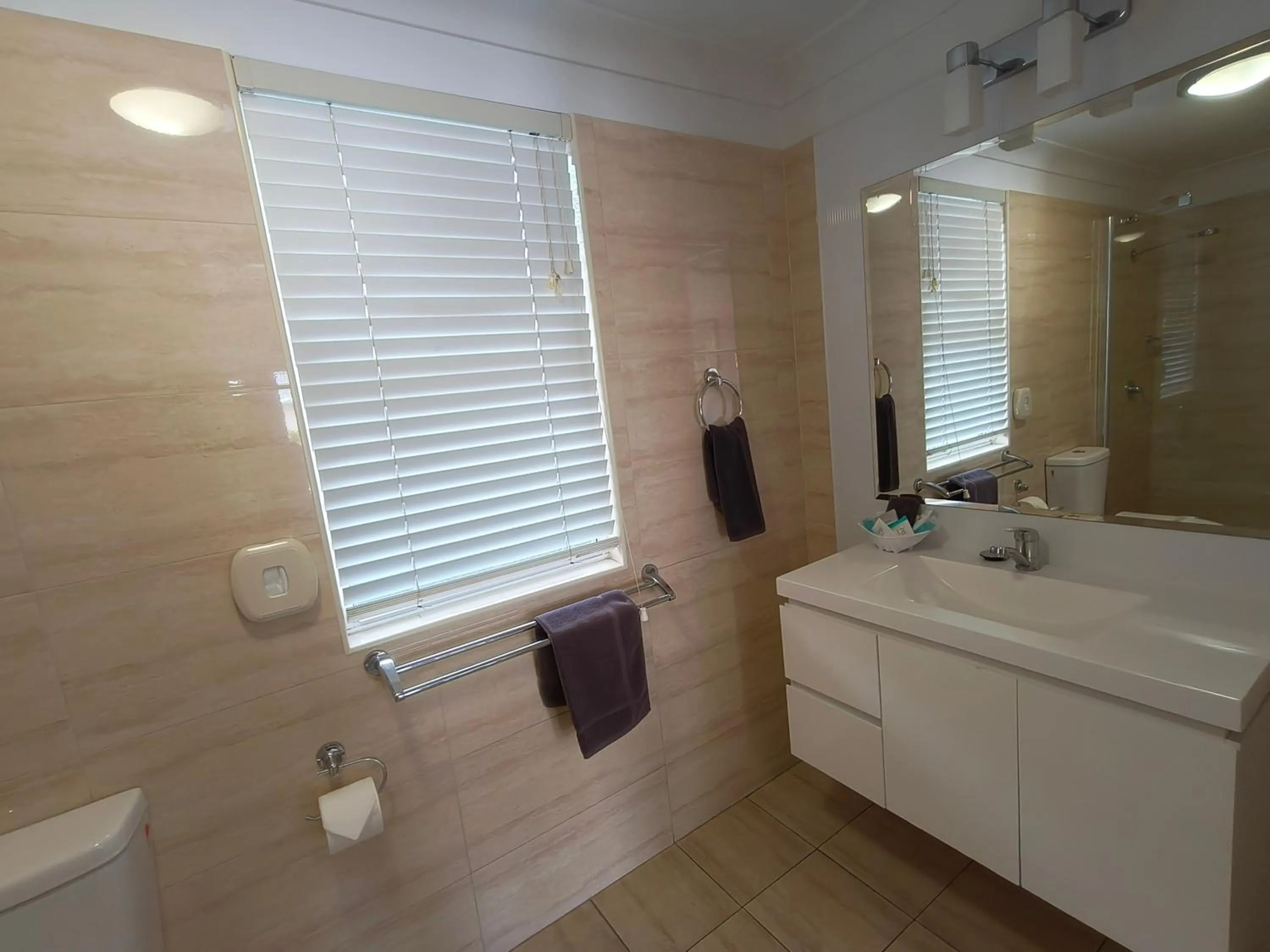 Bathroom in Gunnedah Lodge Motel