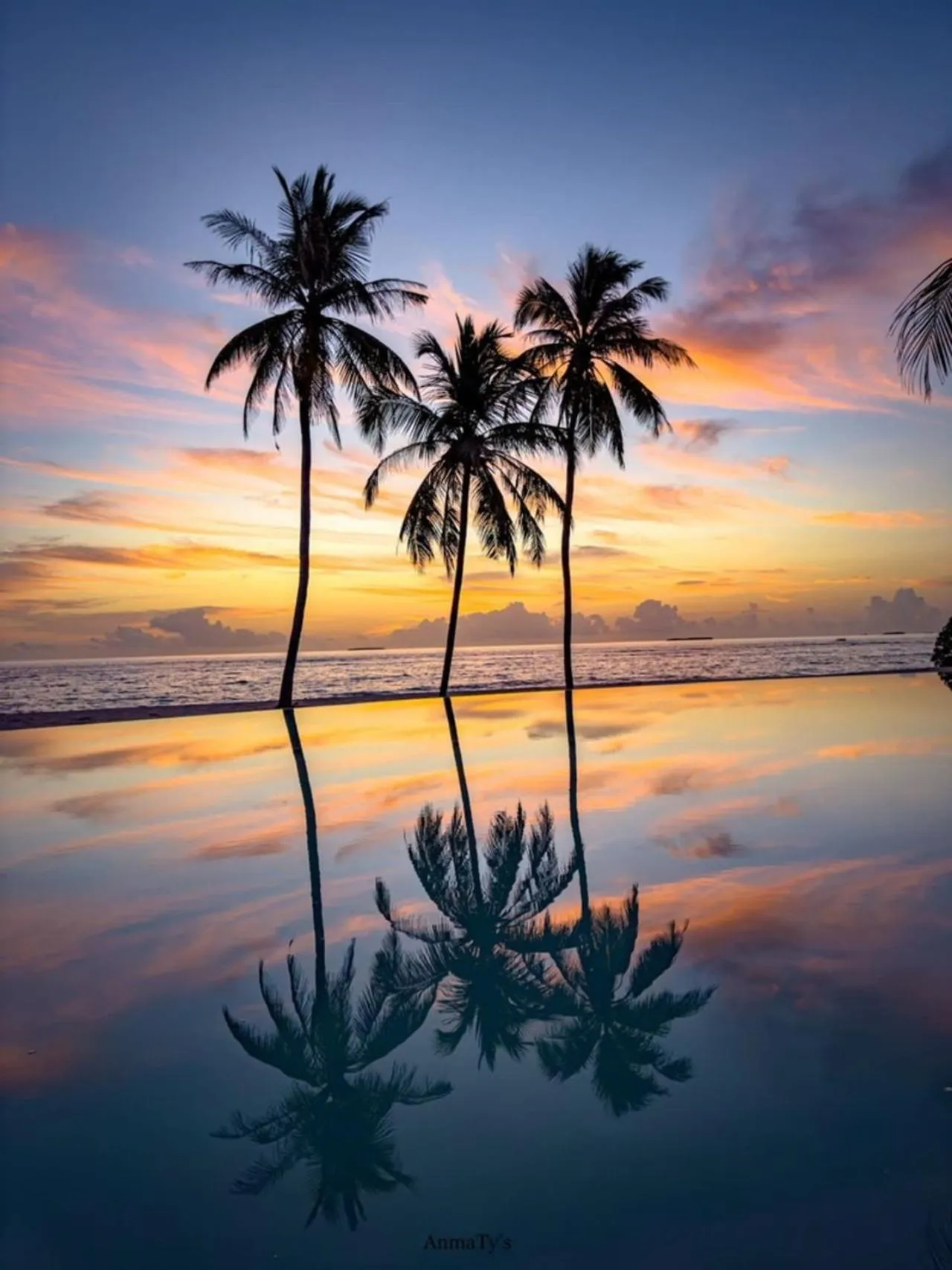 Beach in Ifuru Island Maldives - Free Domestic Flights for 2 with Min 7 Night Stays - 20 Apr to 15 Oct 2026