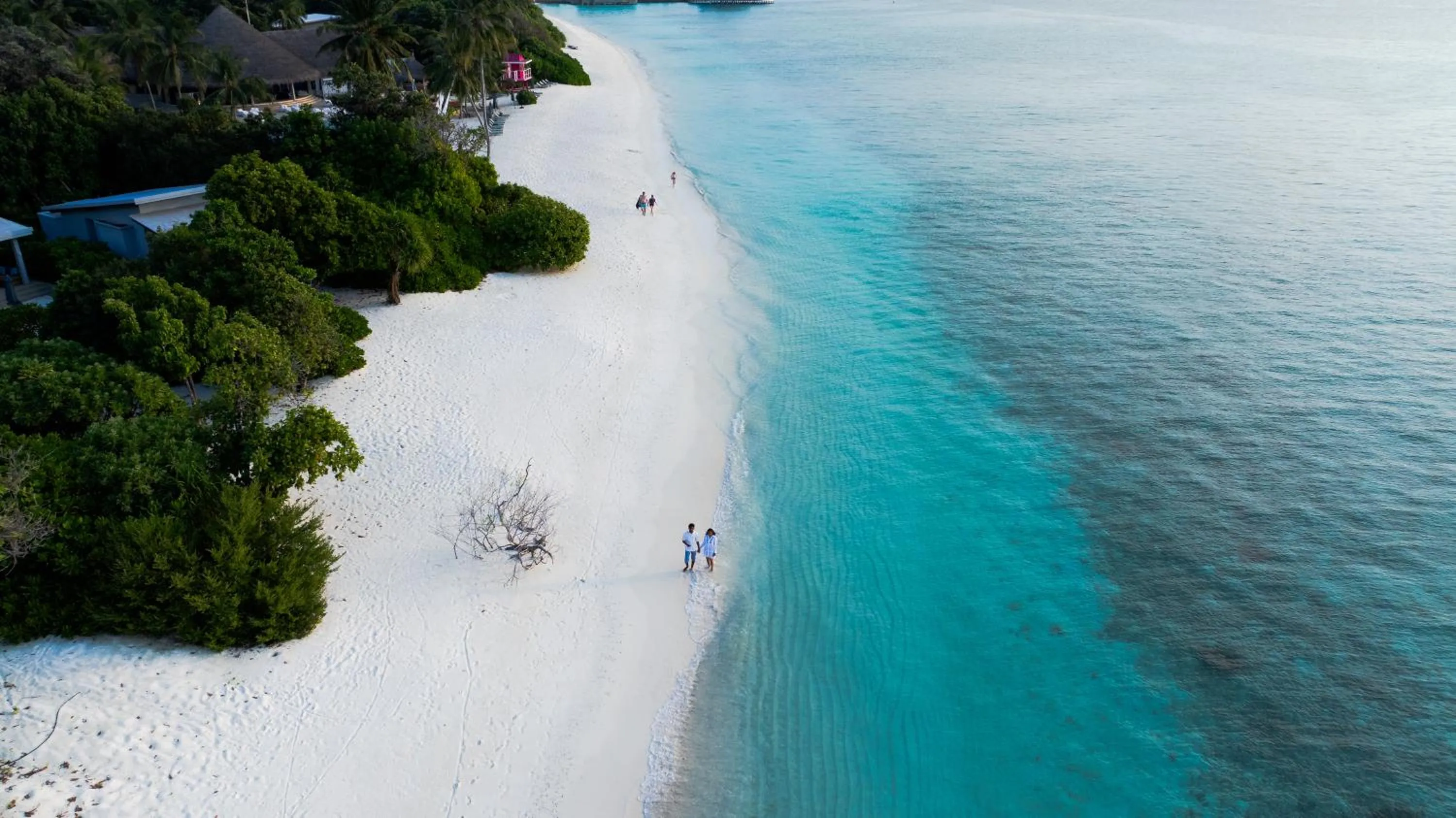 Beach in Ifuru Island Maldives - Free Domestic Flights for 2 with Min 7 Night Stays - 20 Apr to 15 Oct 2026