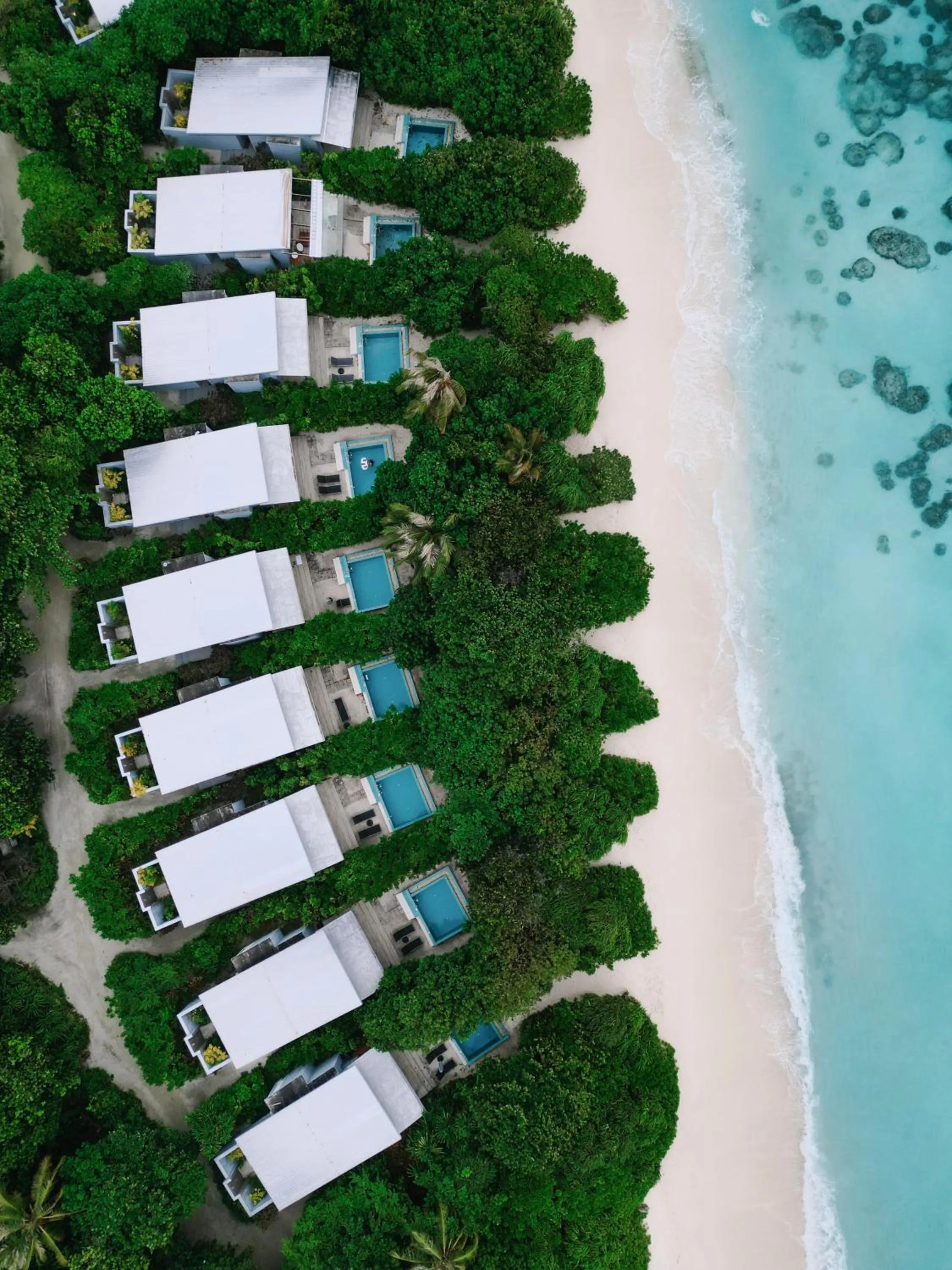 Beach in Ifuru Island Maldives - Free Domestic Flights for 2 with Min 7 Night Stays - 20 Apr to 15 Oct 2026