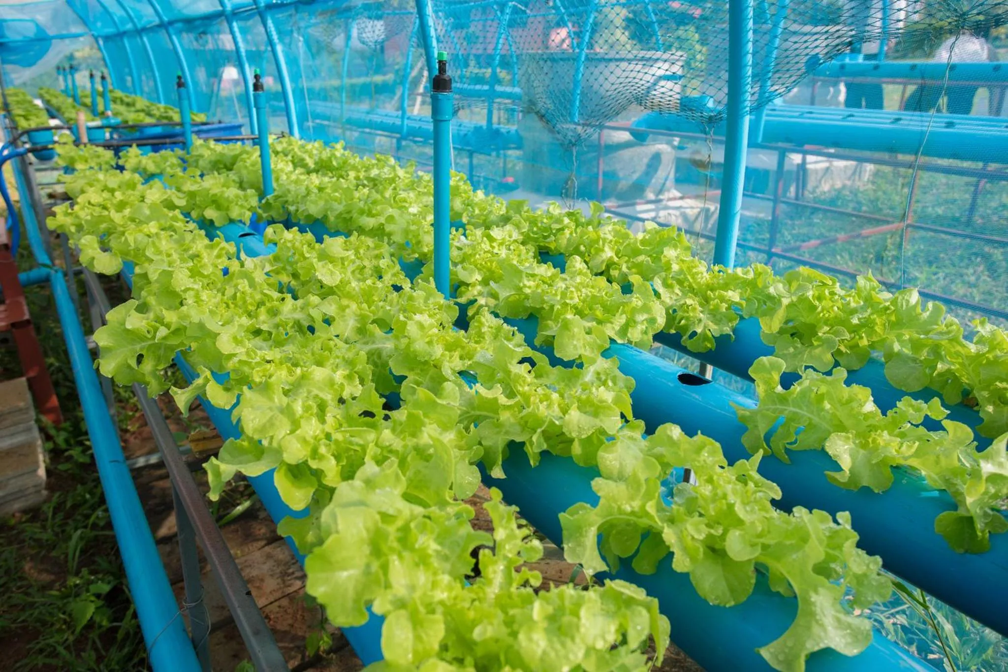 Other in Phoomtada Homestay