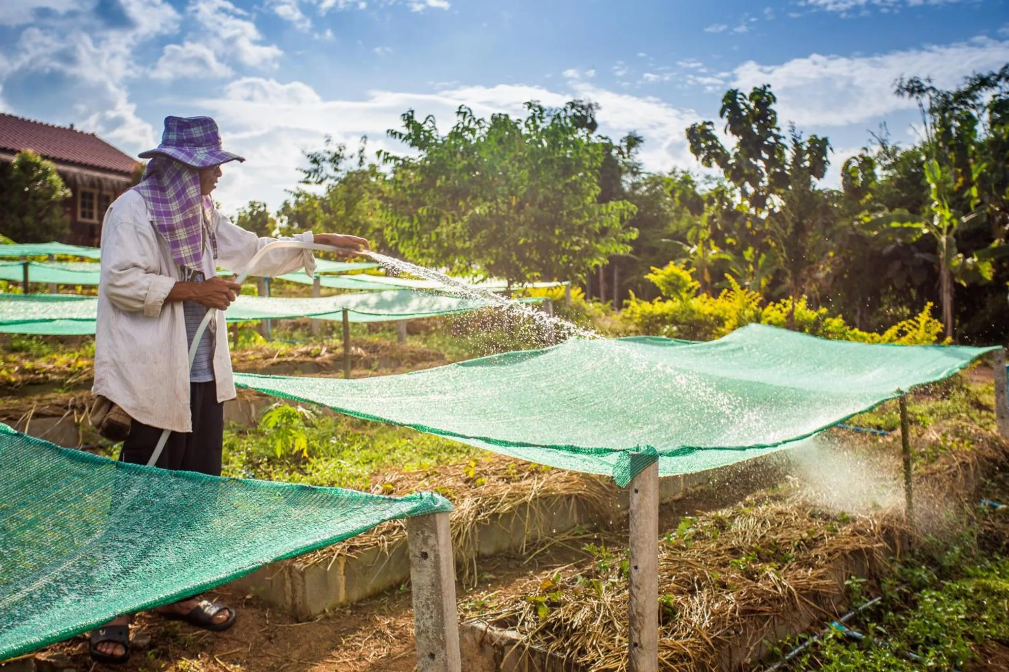 Day in Phoomtada Homestay