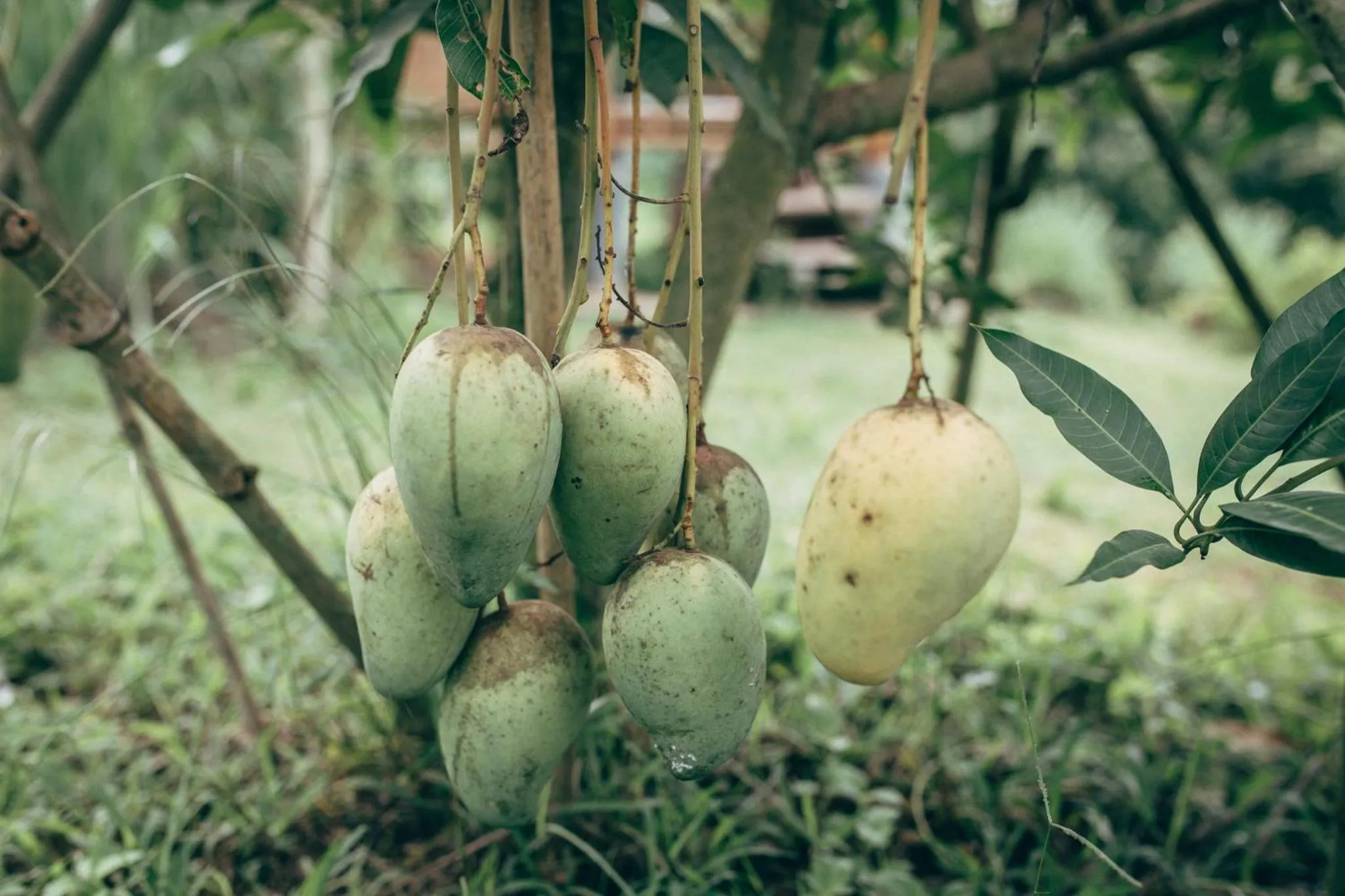 Other in Phoomtada Homestay