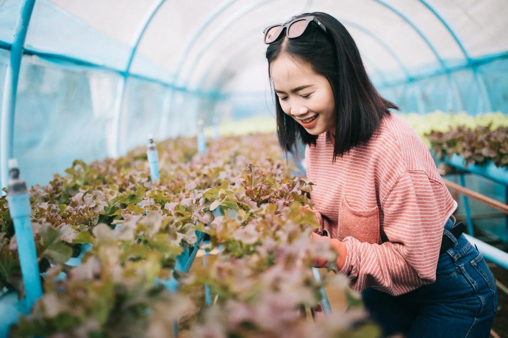 People in Phoomtada Homestay