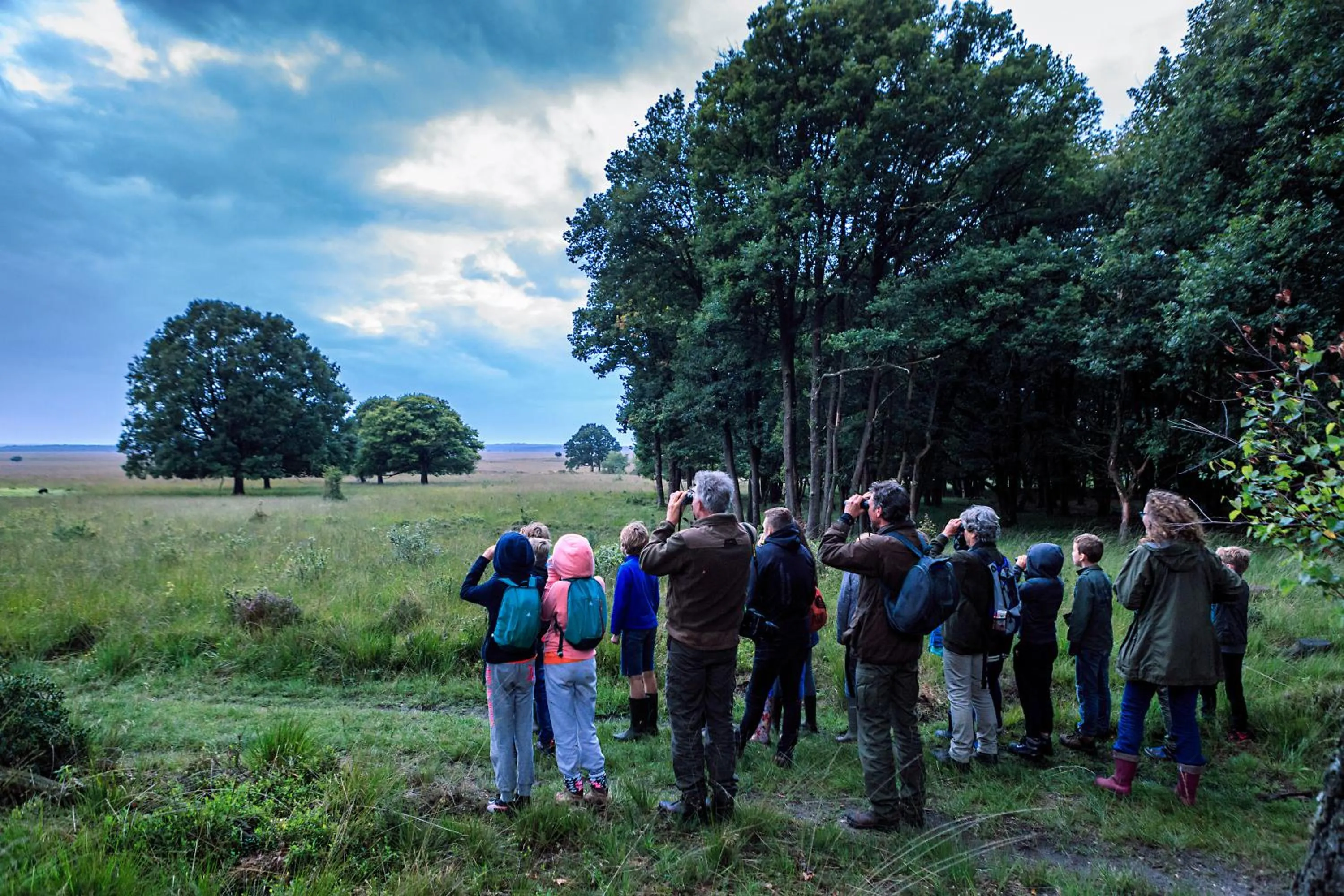 Text overlay in 't Witte Hoes