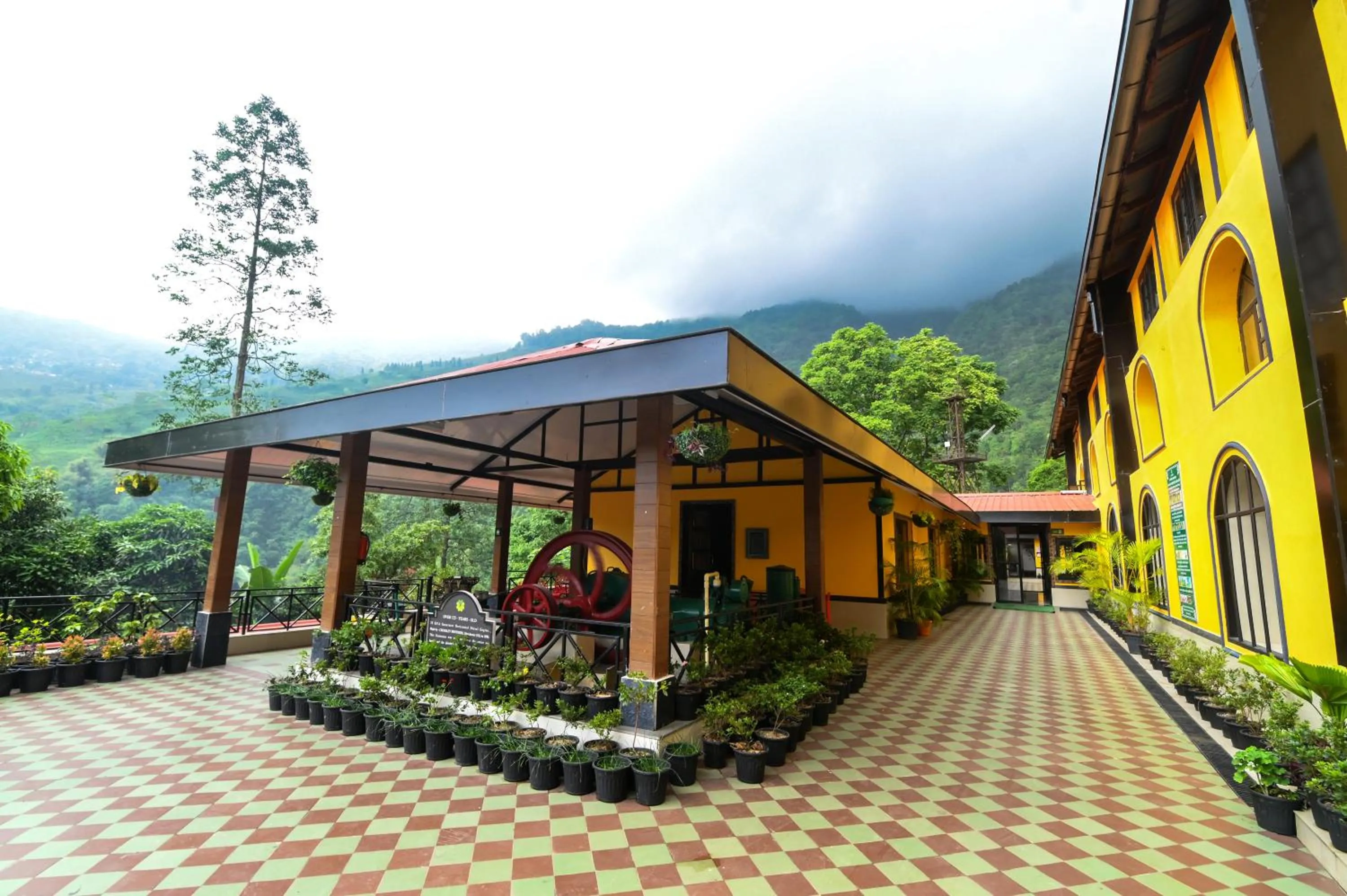 Day in Mayfair Manor Jungpana