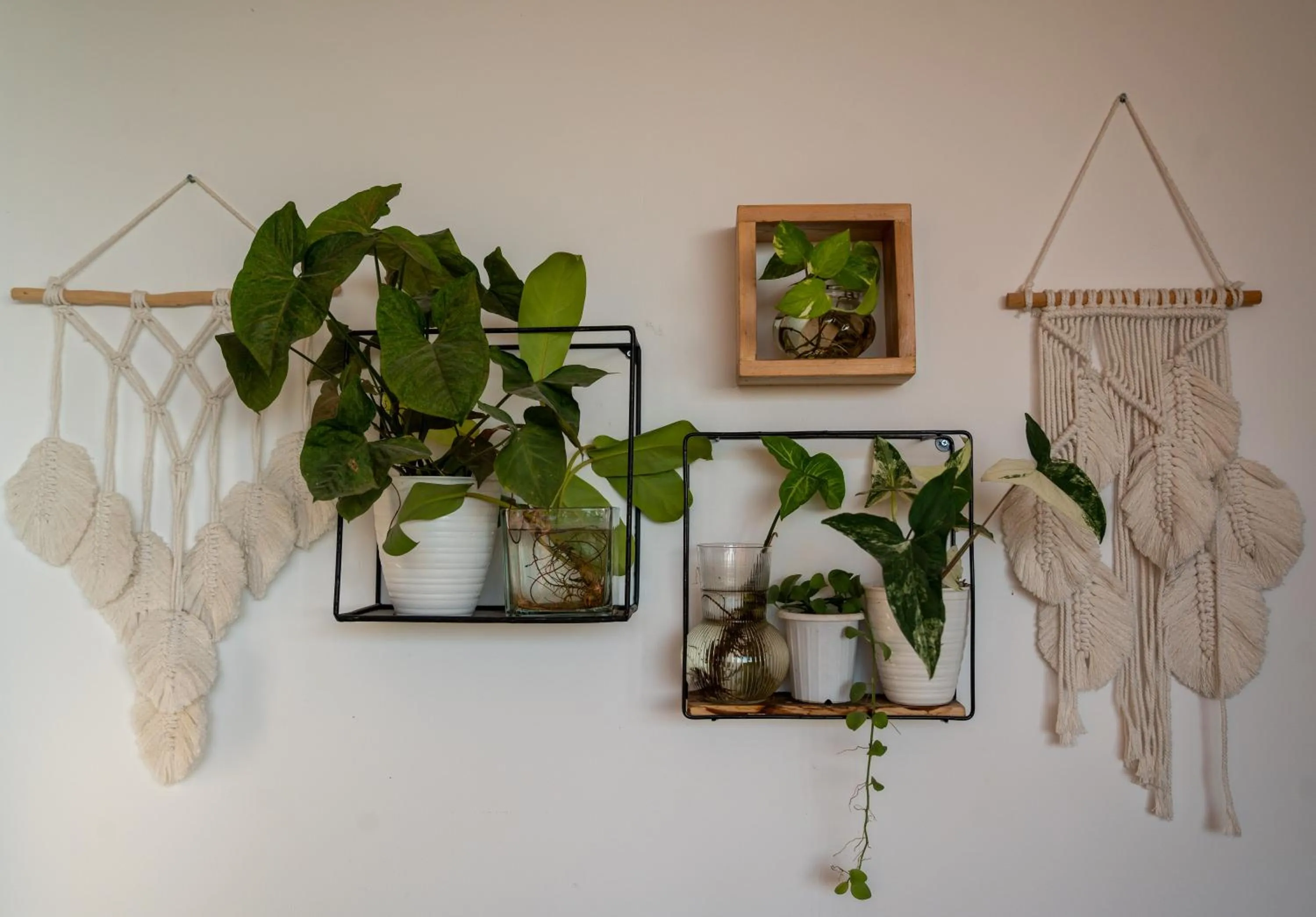 Decorative detail in Mambo Hill Resort