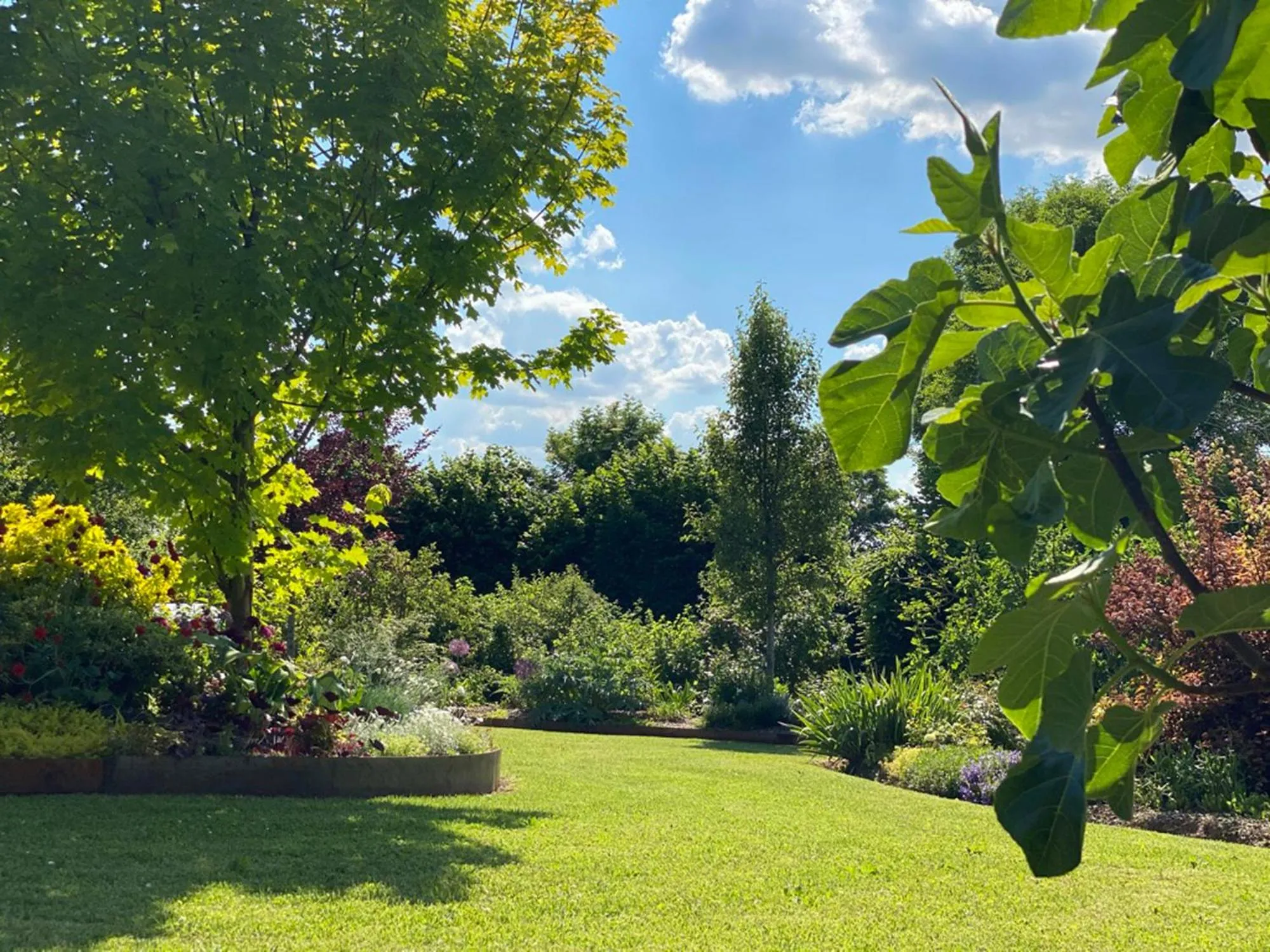 Garden view in L'école des garçons