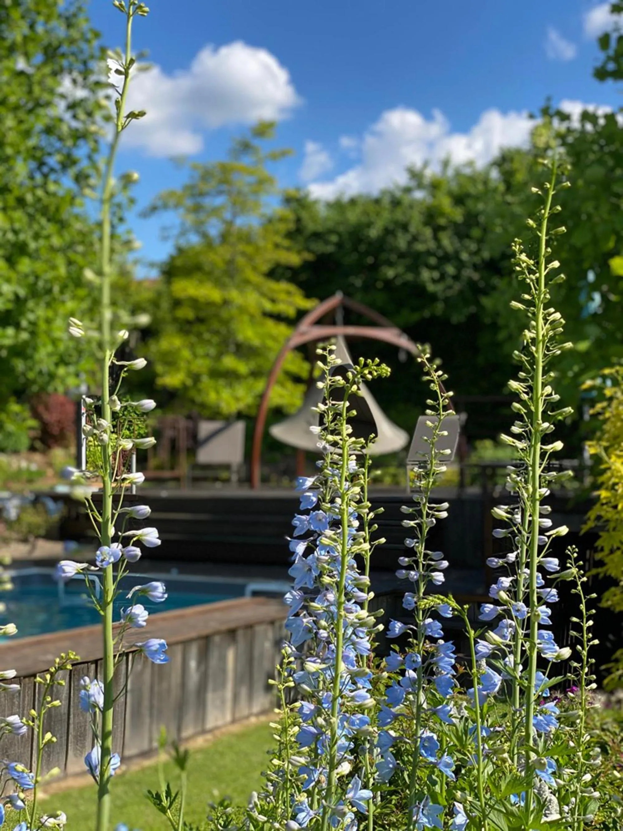 Garden in L'école des garçons
