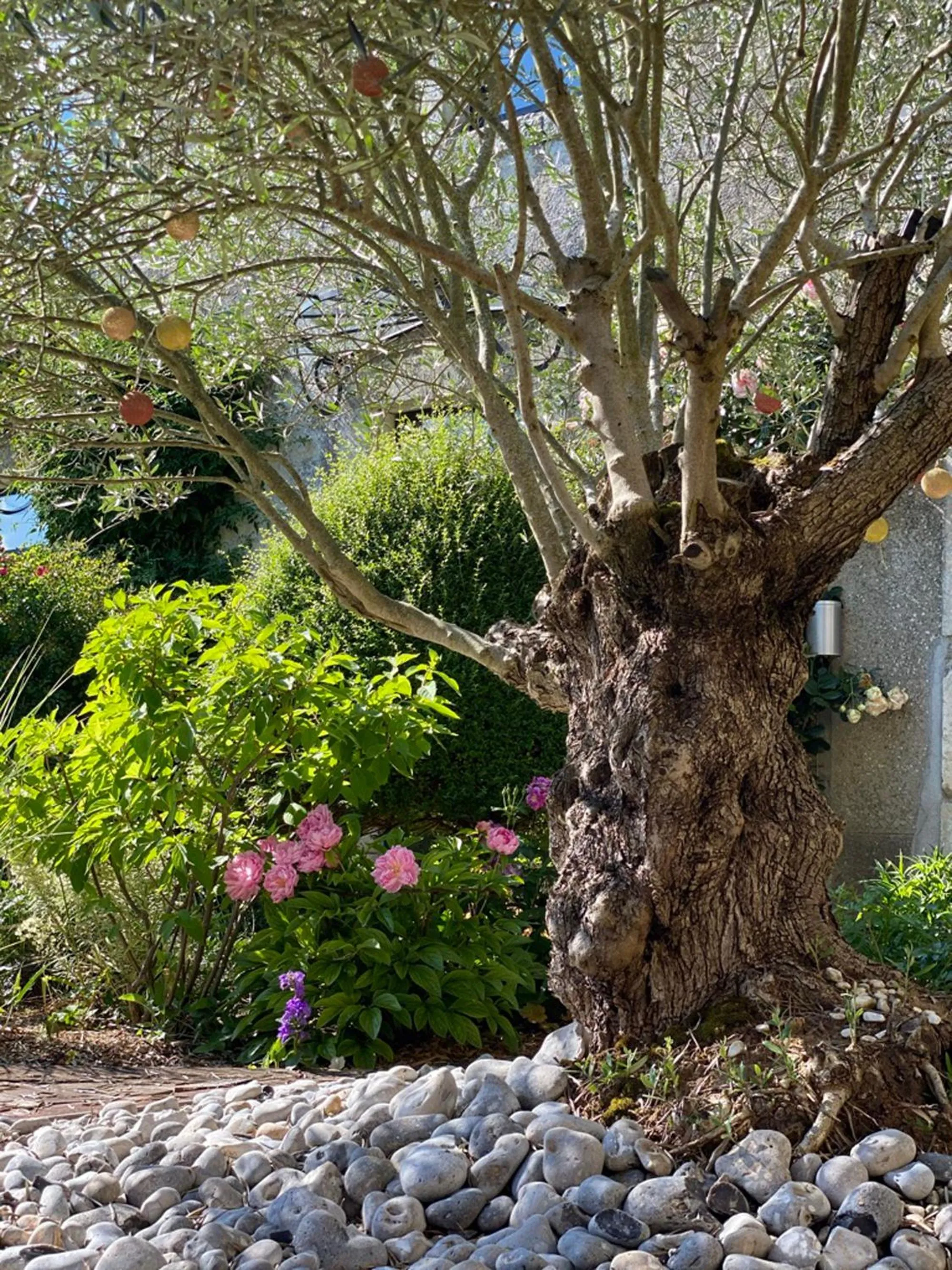 Patio in L'école des garçons