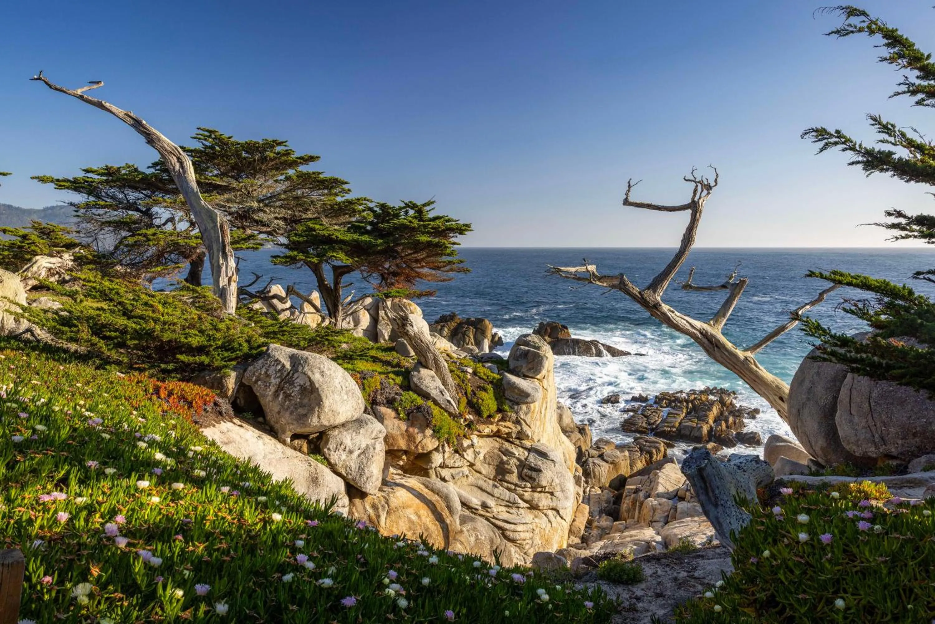 Beach in Home2 Suites By Hilton Marina