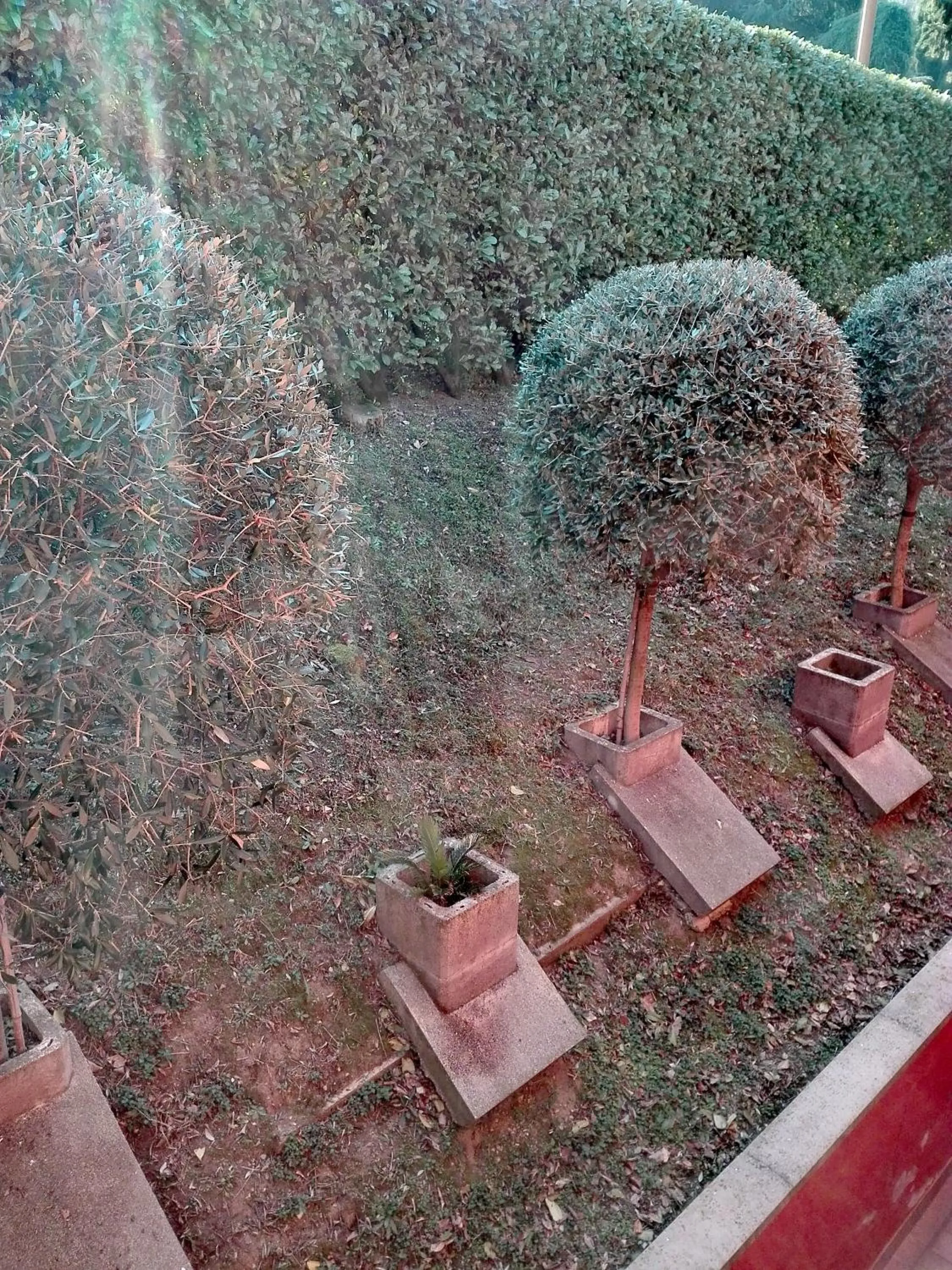 Spring in Hotel Empire Resort