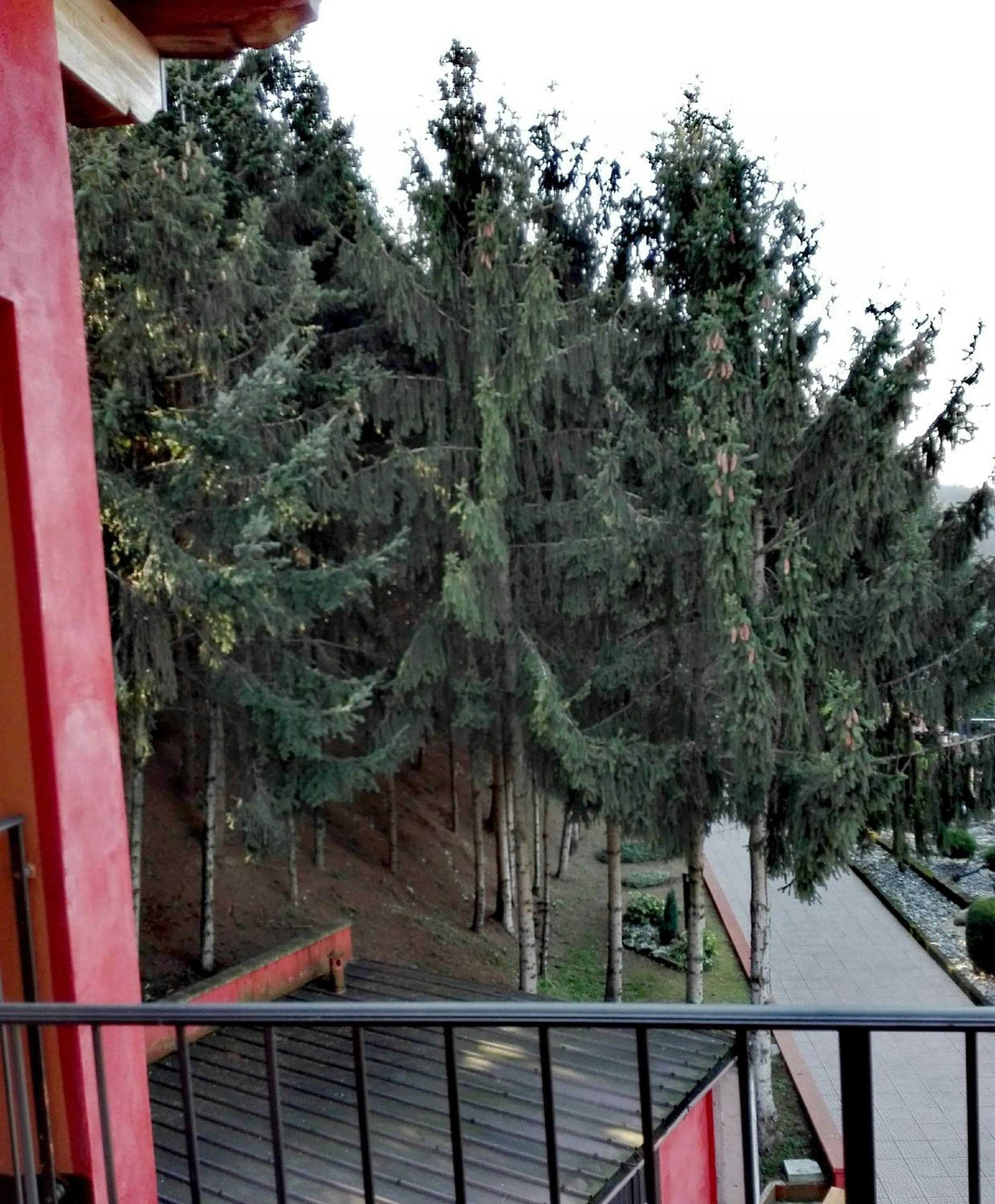 Spring in Hotel Empire Resort