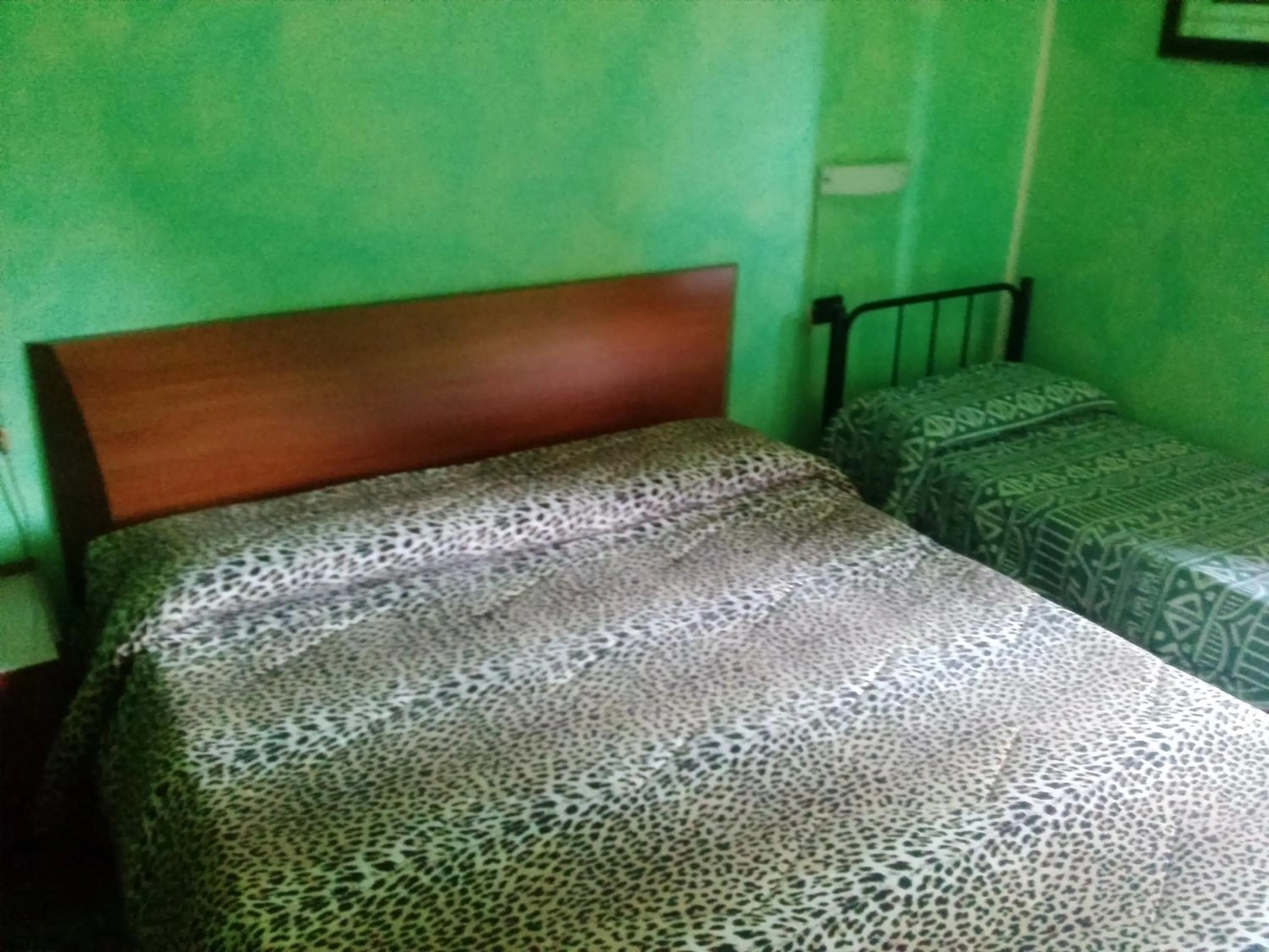 Day, Bed in Hotel Empire Resort