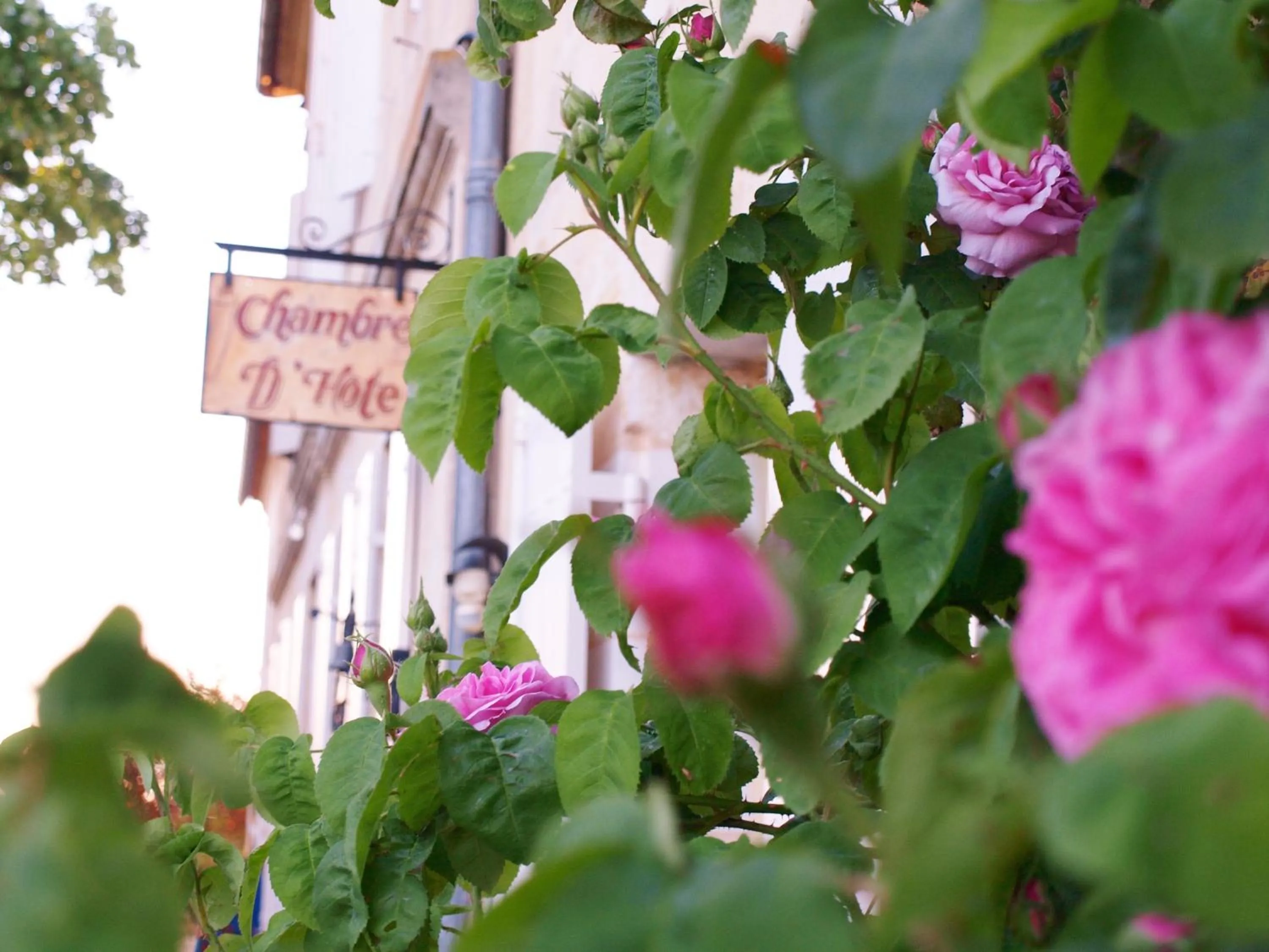 Decorative detail in La Gomerie Chambres d'Hotes