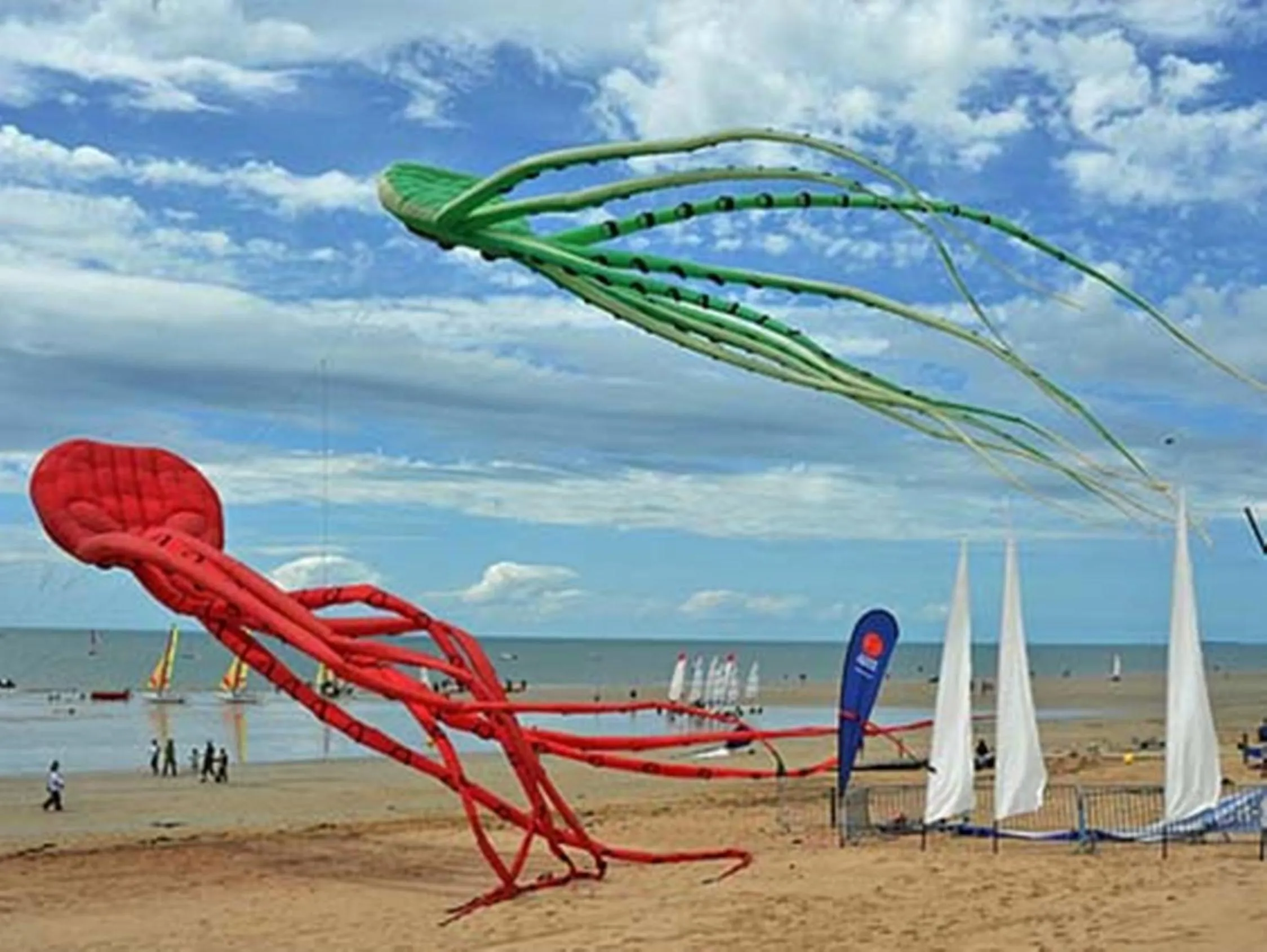 Area and facilities in Hôtel de l'Océan