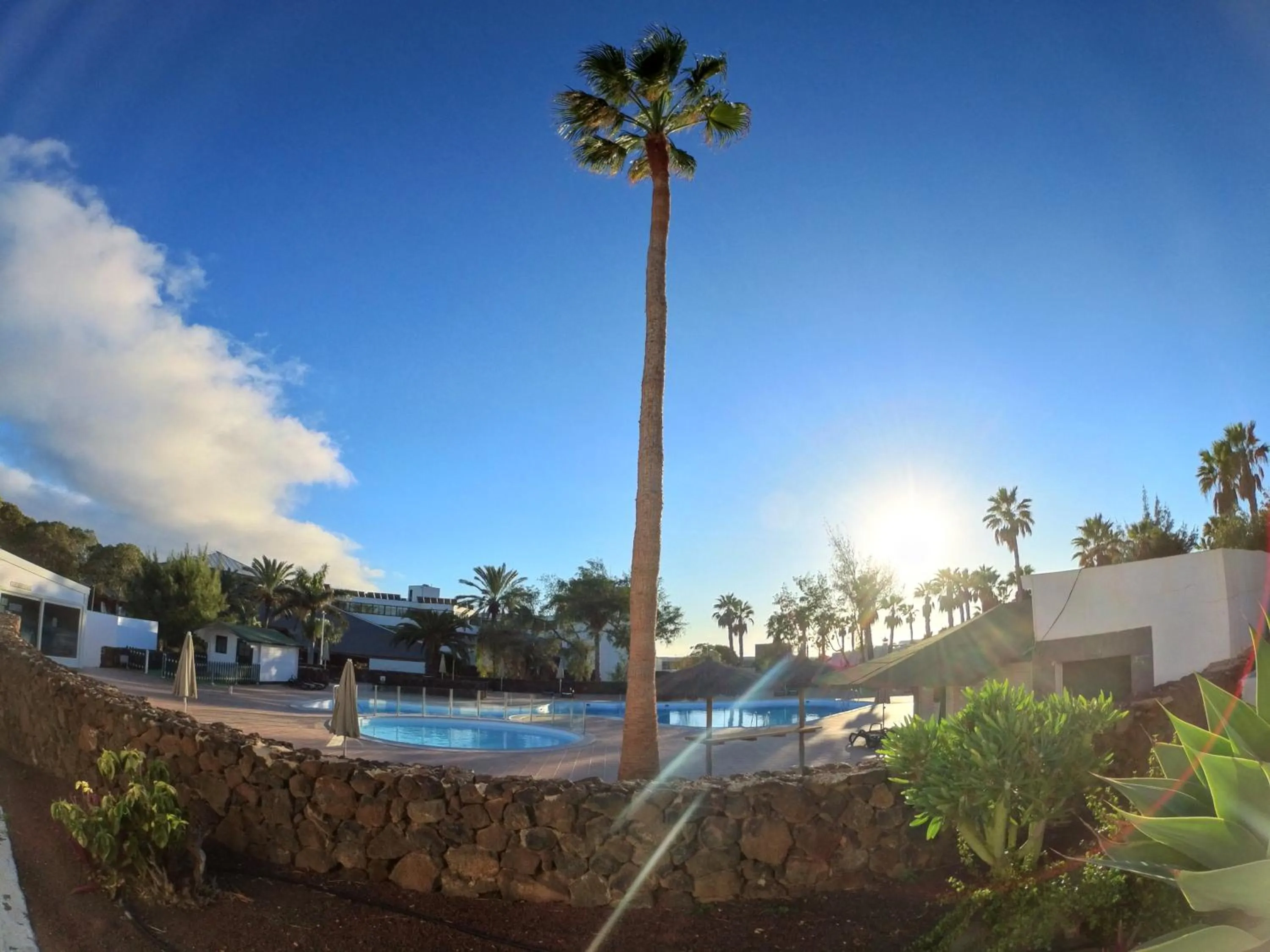 Swimming pool in Palmeras Garden