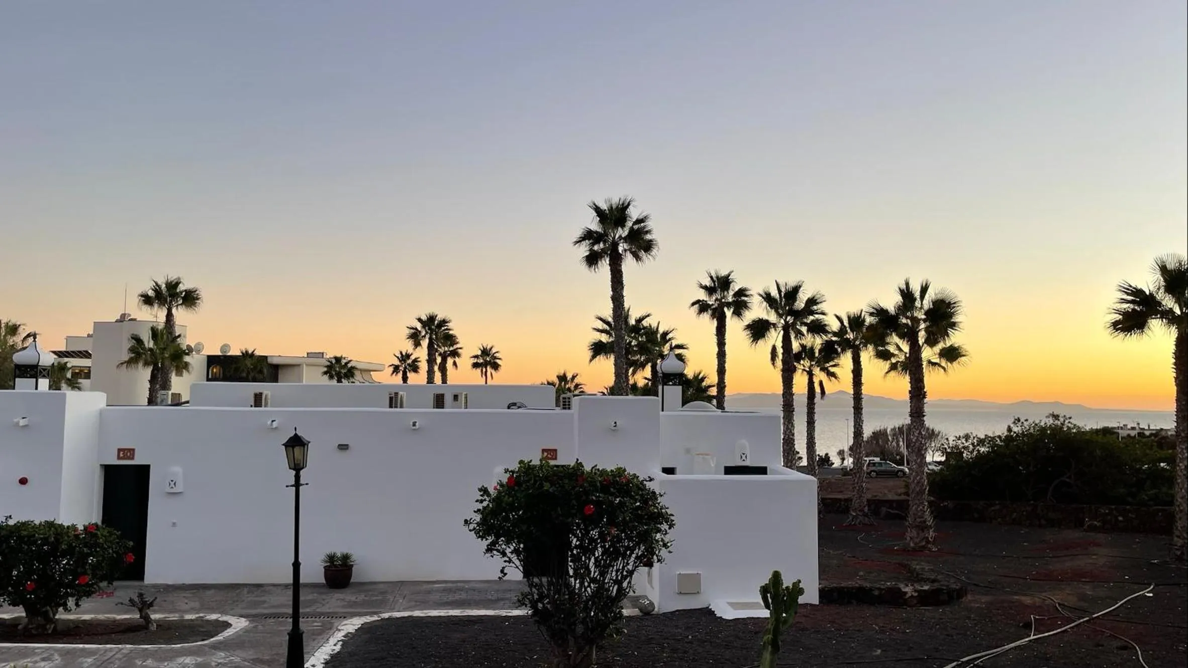 Sunset in Palmeras Garden