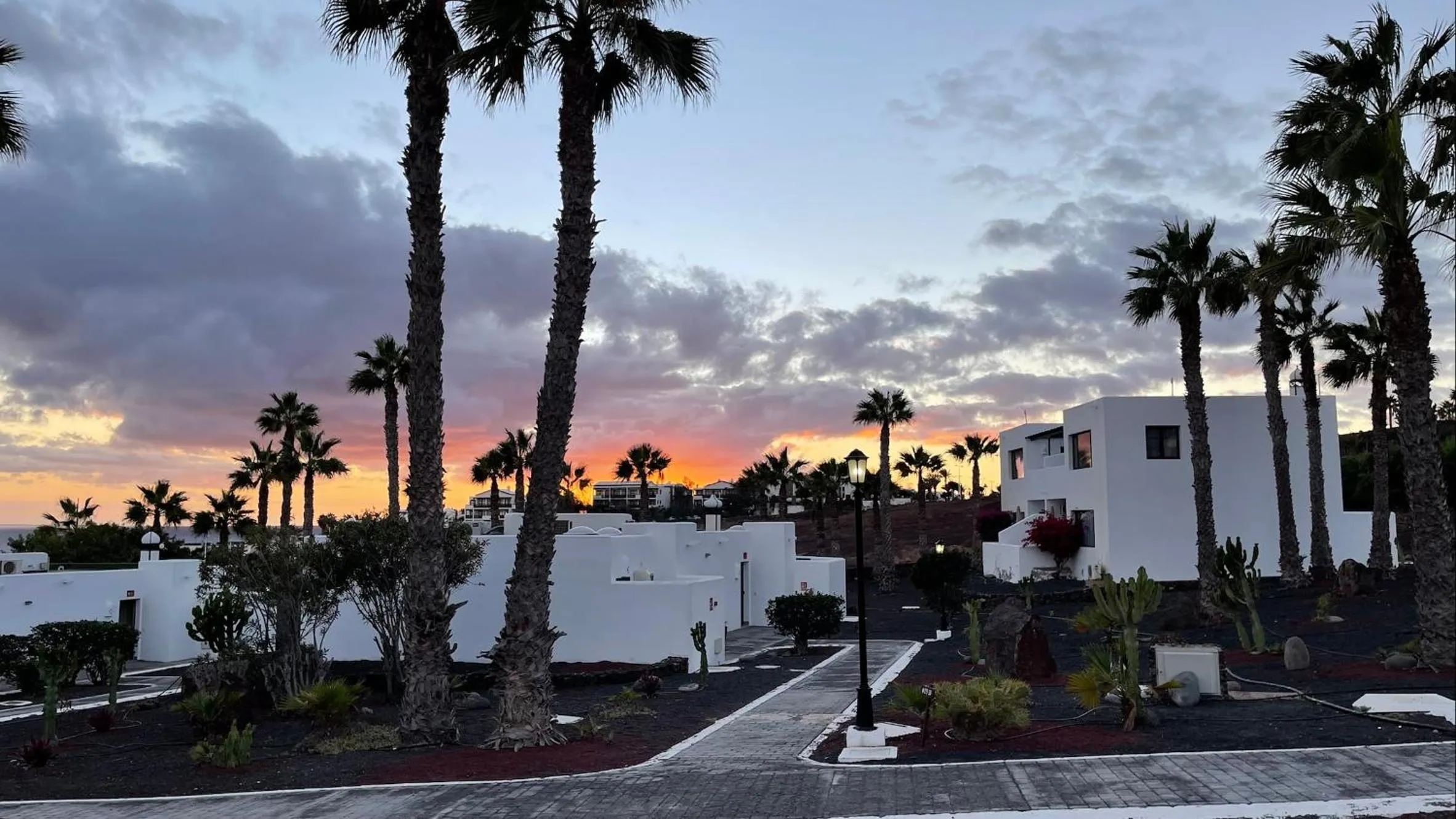 Sunset in Palmeras Garden