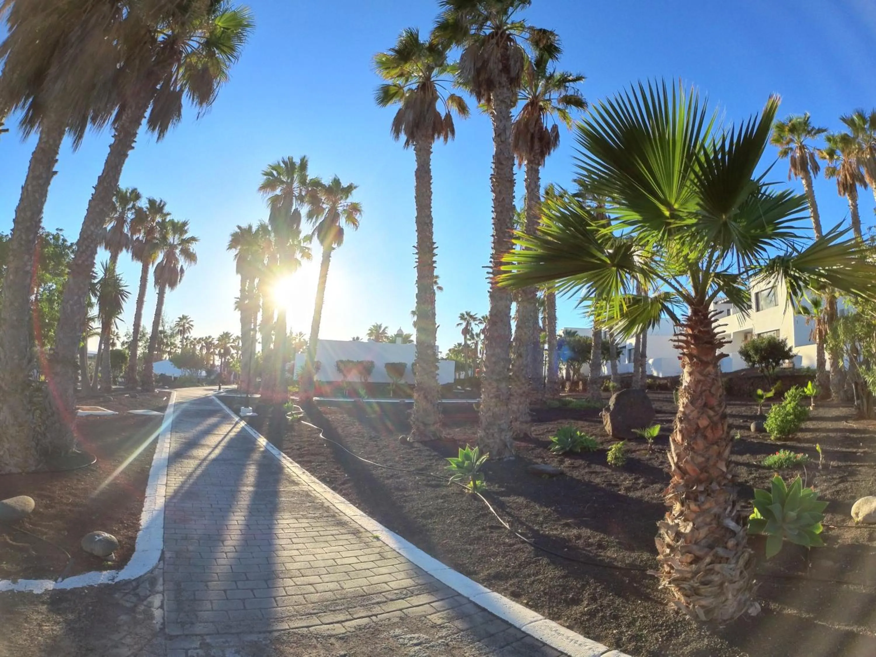 Garden in Palmeras Garden