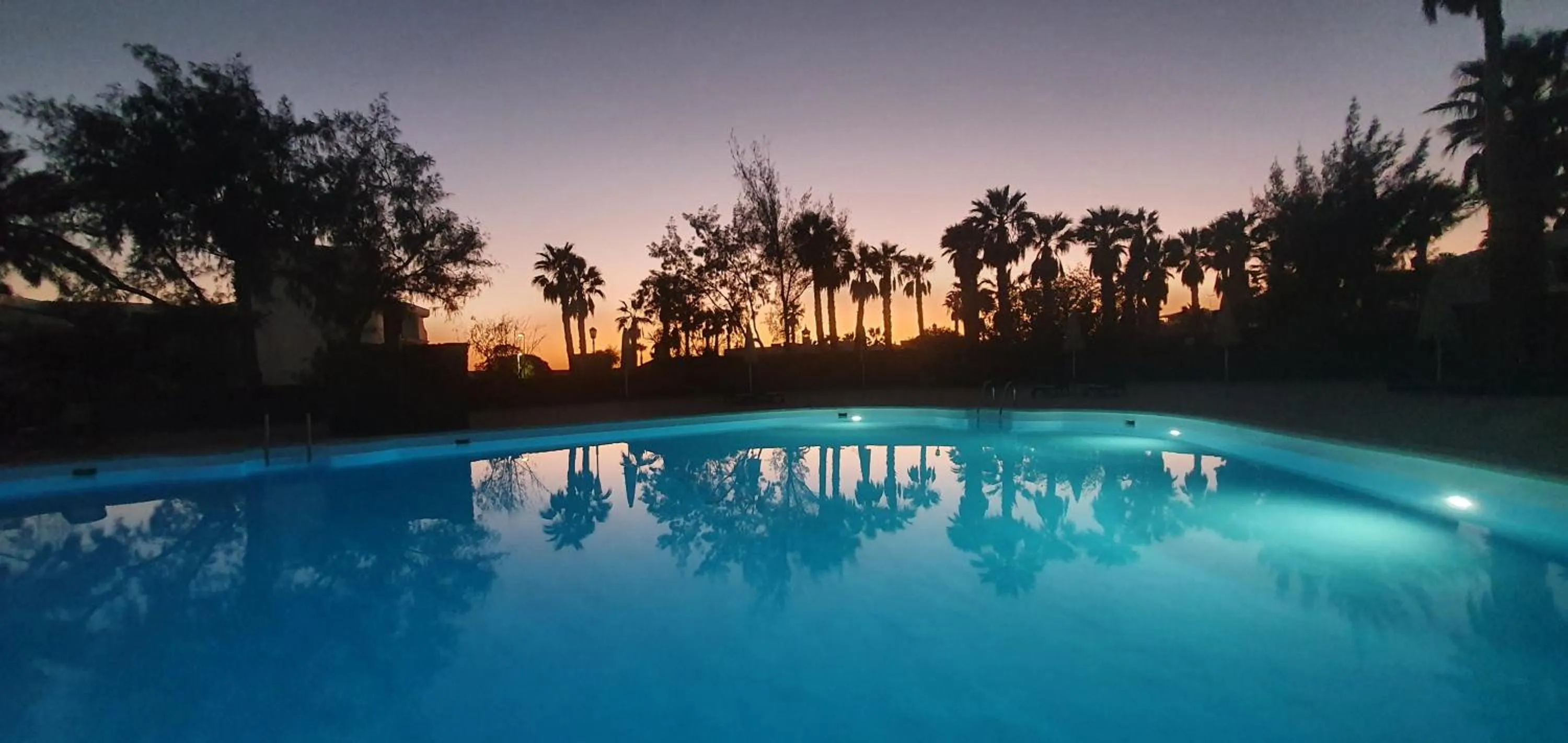 Swimming pool in Palmeras Garden