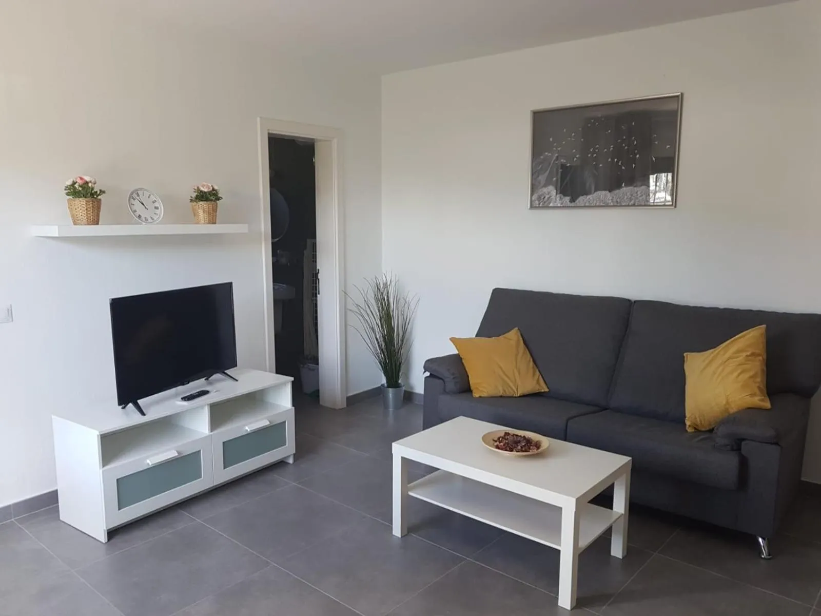 TV and multimedia in Palmeras Garden