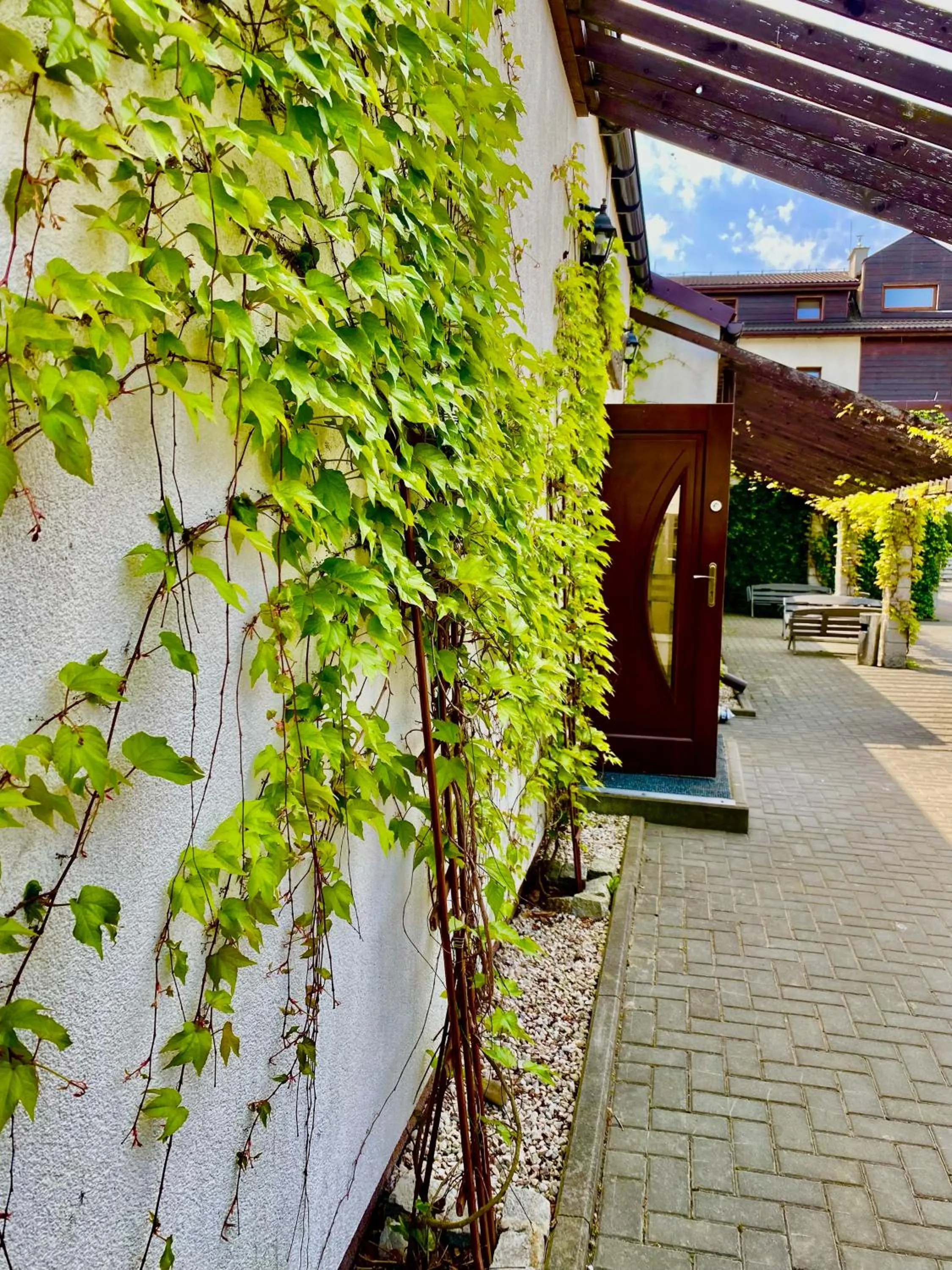 Spring in Old Tree Home & Restaurant