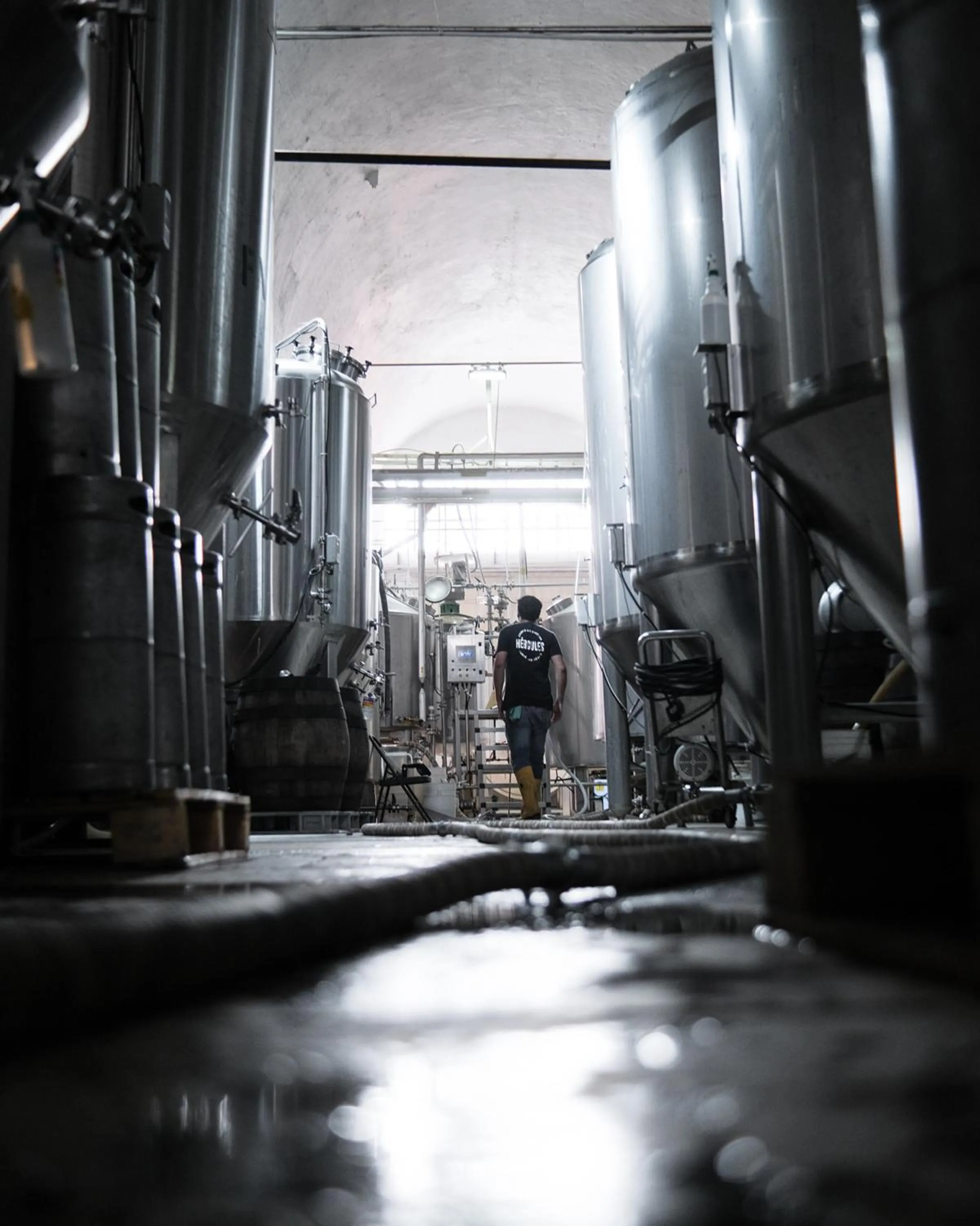 People in Hotel Hércules