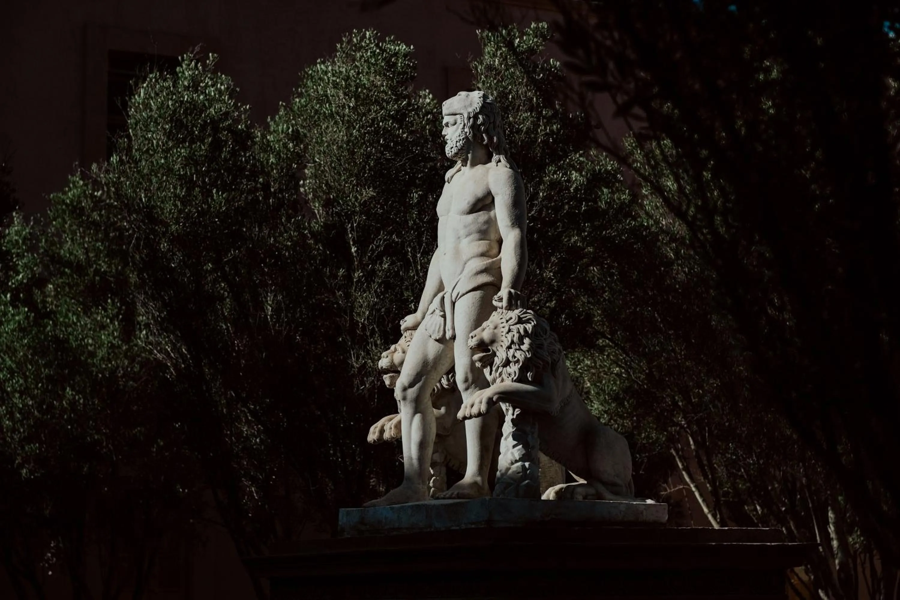 Natural landscape in Hotel Hércules