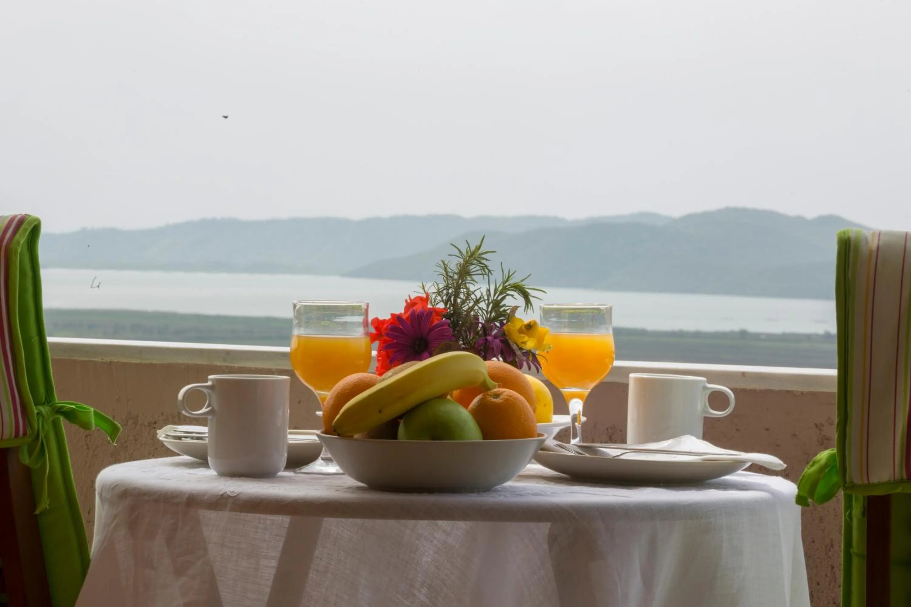 Garden in Casa Noste Apartments