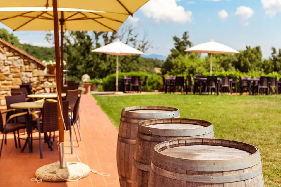 Restaurant/places to eat in Agriturismo & Cantina Tenuta Casteani