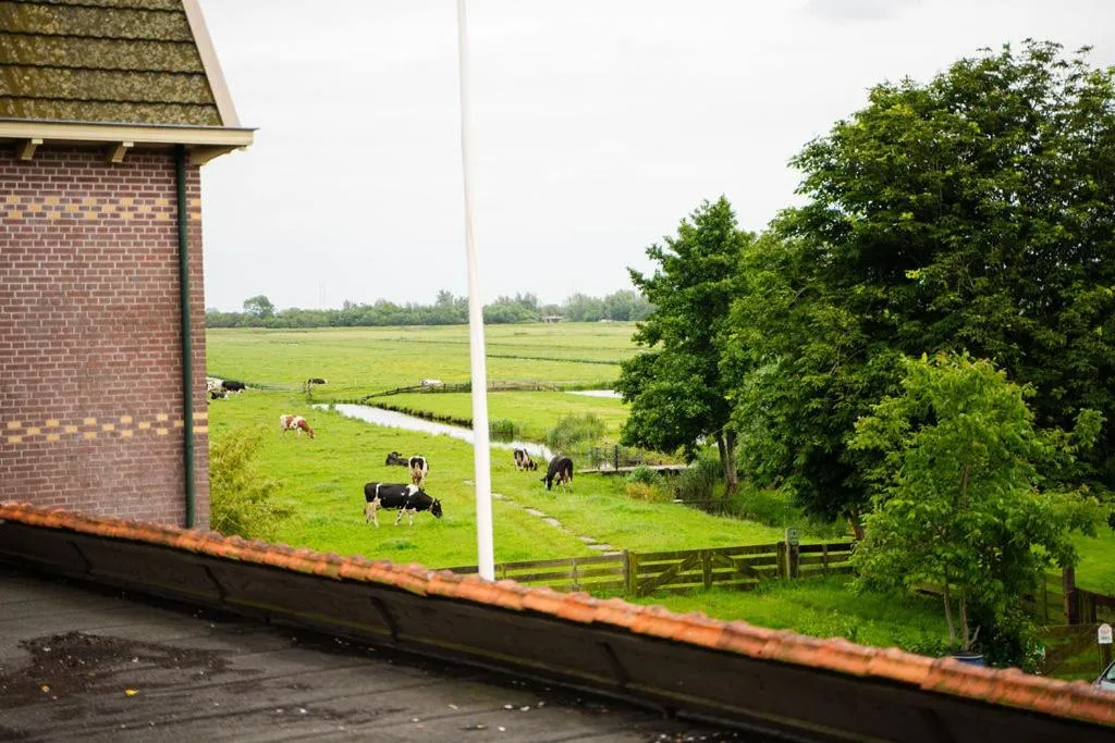 Property building in Hotel Orion