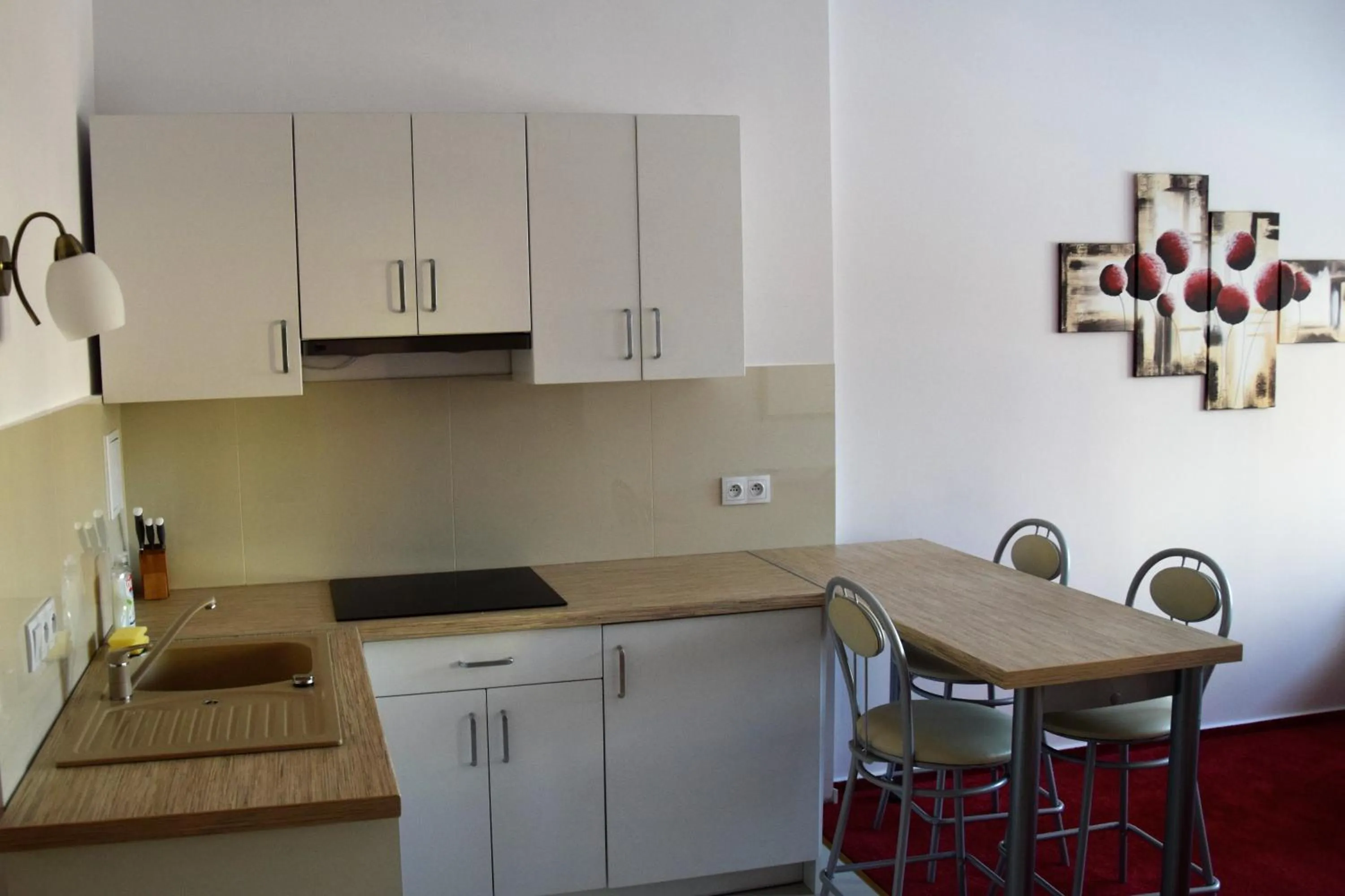 Kitchen or kitchenette in Centrum Konferencyjne IBIB PAN