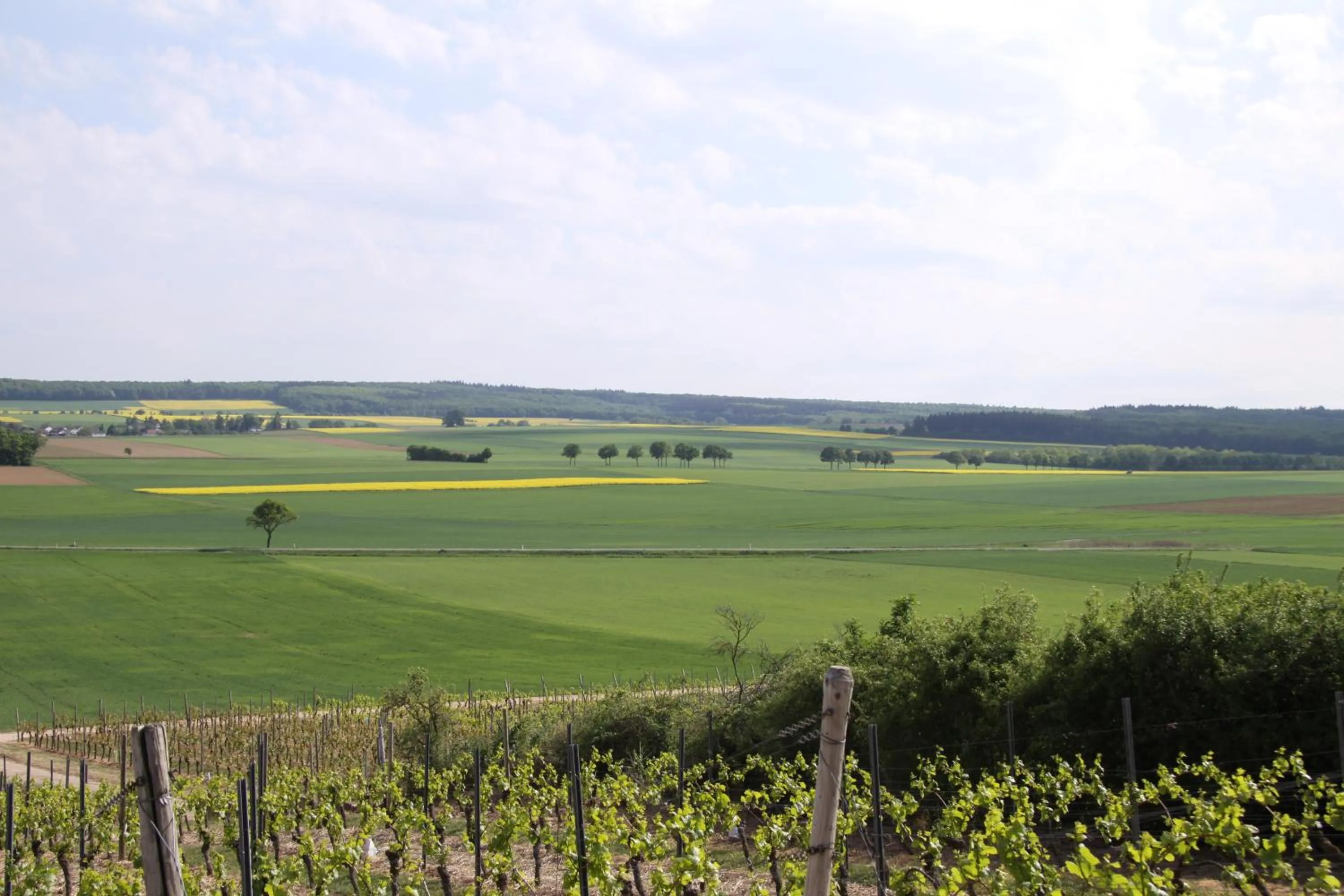 Natural landscape in Der espenhof Landhotel, Tagungshotel & Weingut