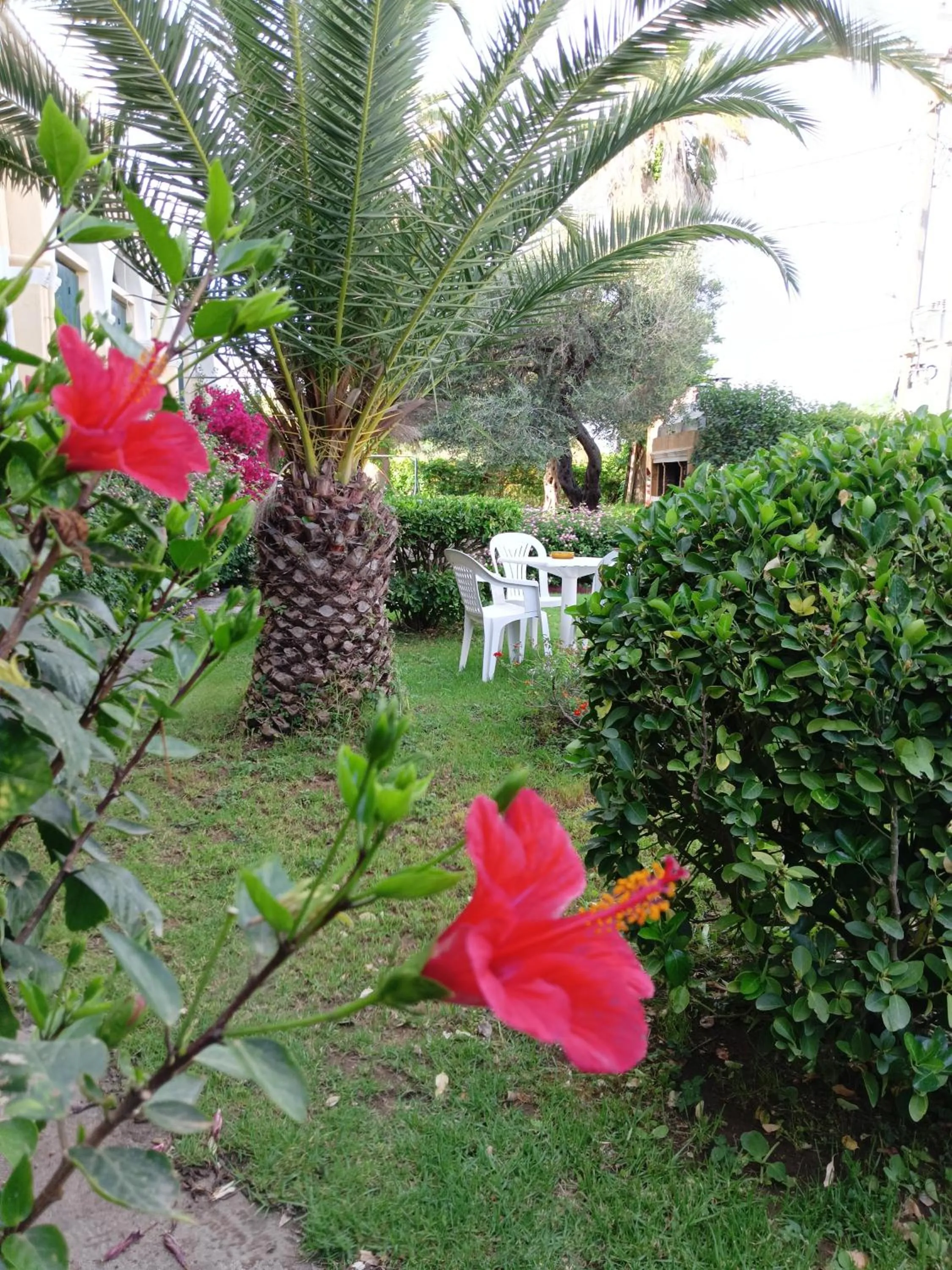 Garden in IL MIRTO VERDE