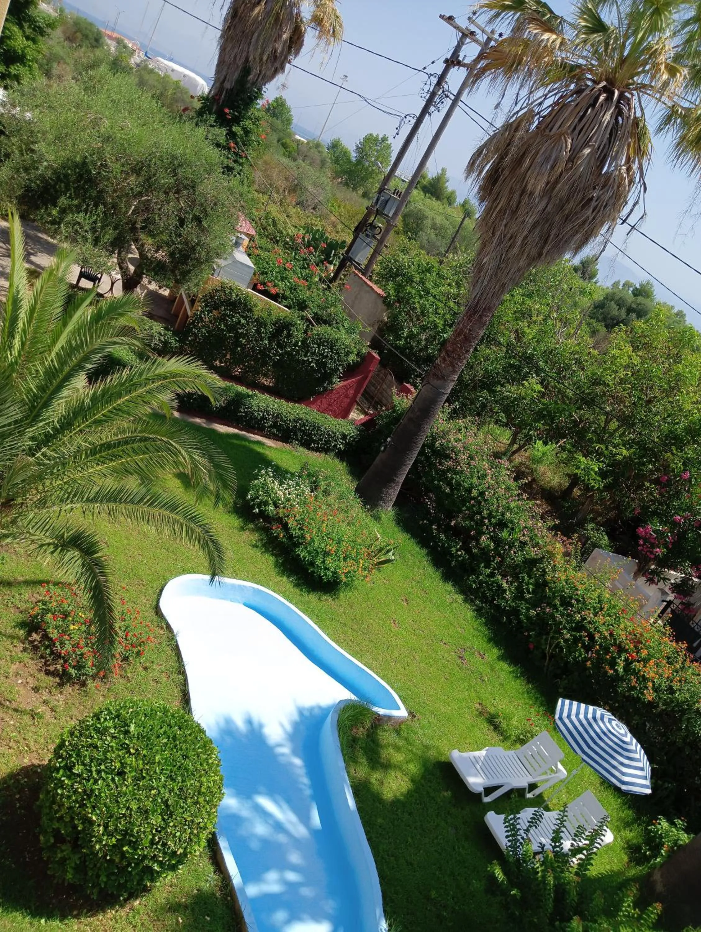 Garden view in IL MIRTO VERDE