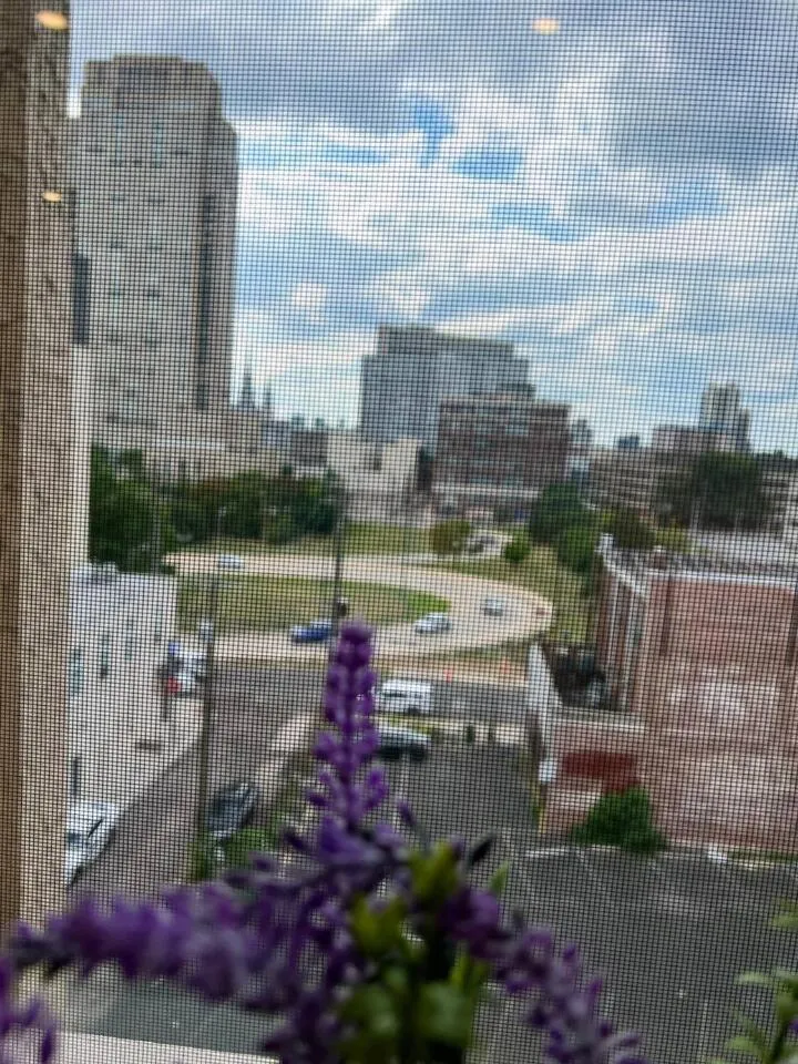 302 Comfy Cabin 1BD with city view in Center city