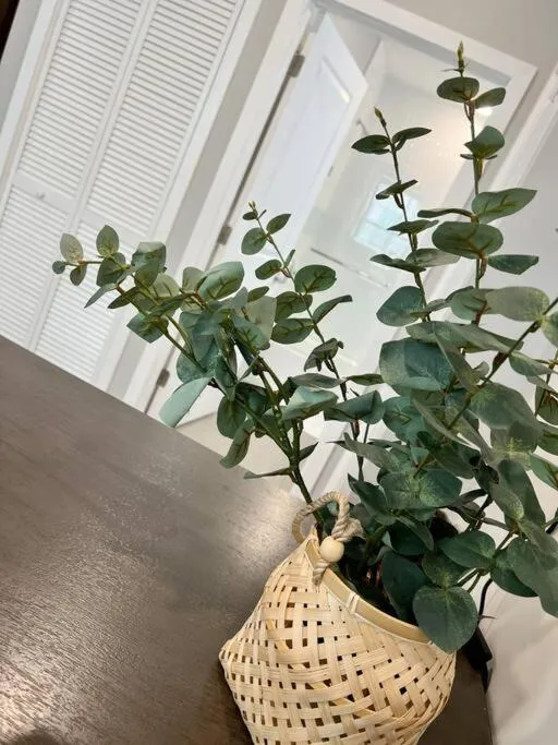 308 Cozy and warm King Bed APT in center city