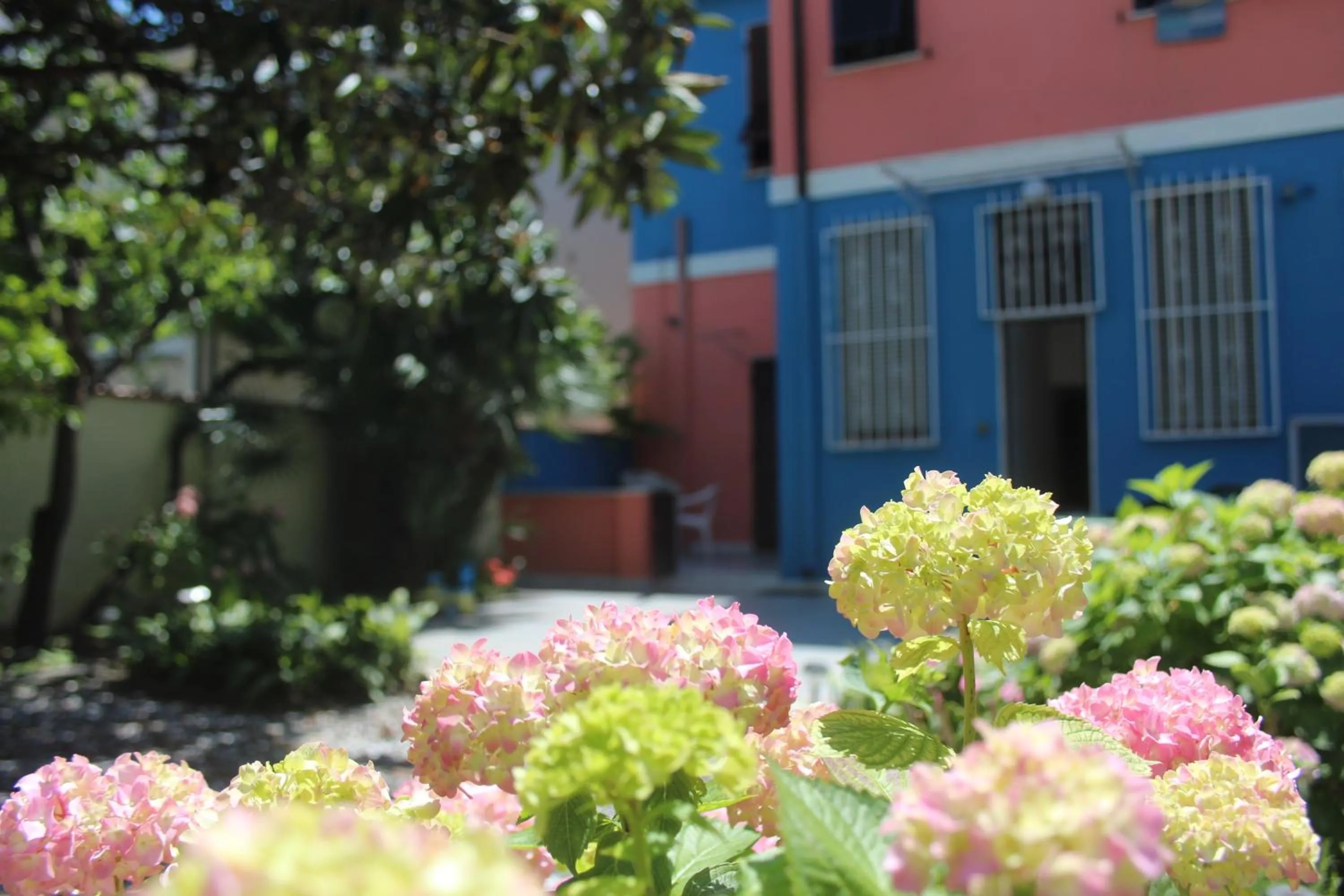 Eco B&B I Due Oleandri