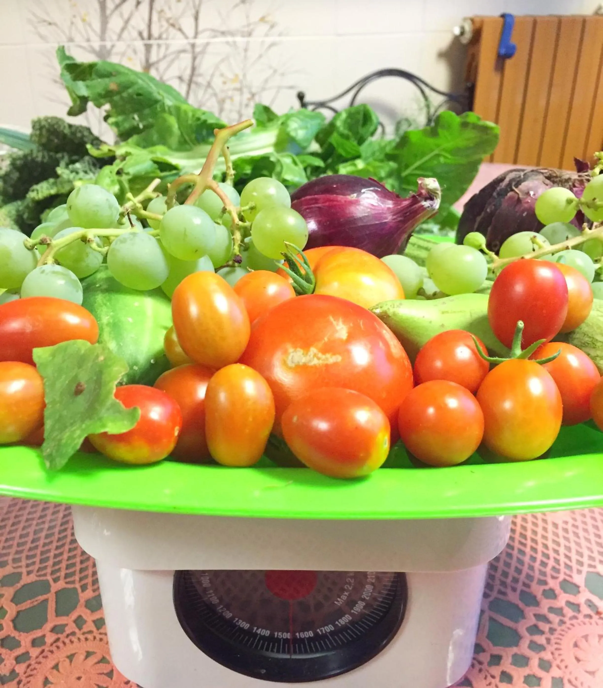 Eco B&B I Due Oleandri