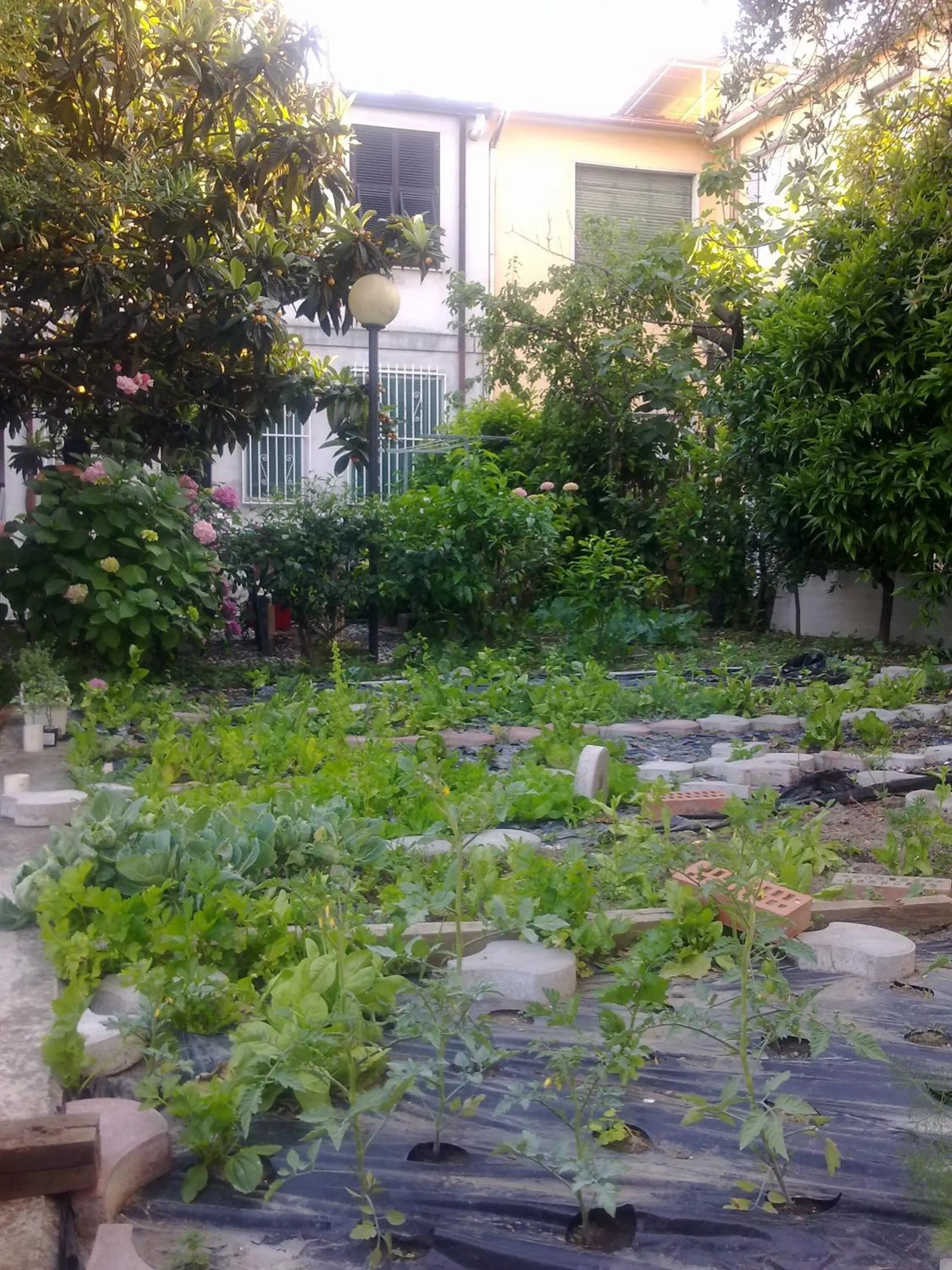 Eco B&B I Due Oleandri