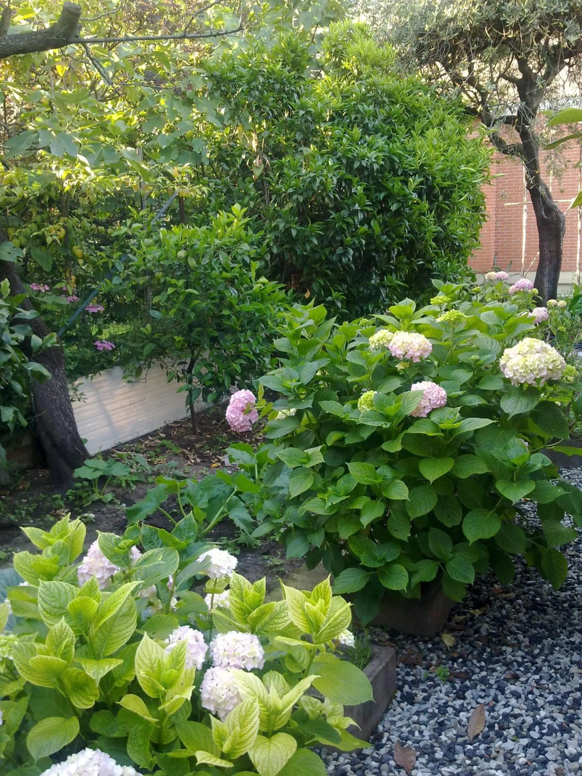 Garden view in Eco B&B I Due Oleandri