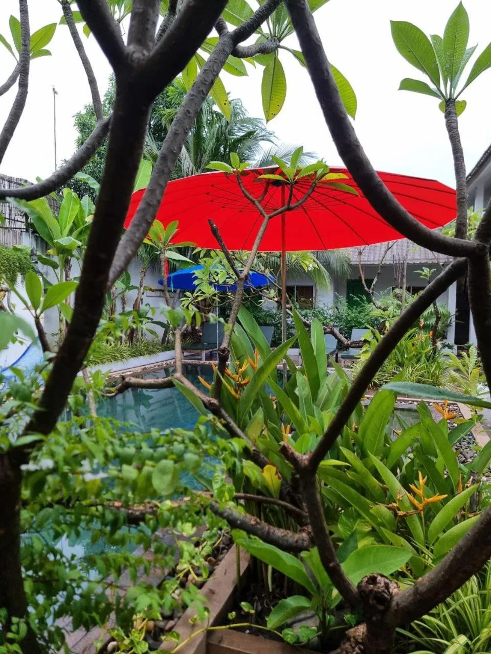 Pool view in Green BOUTiQUE