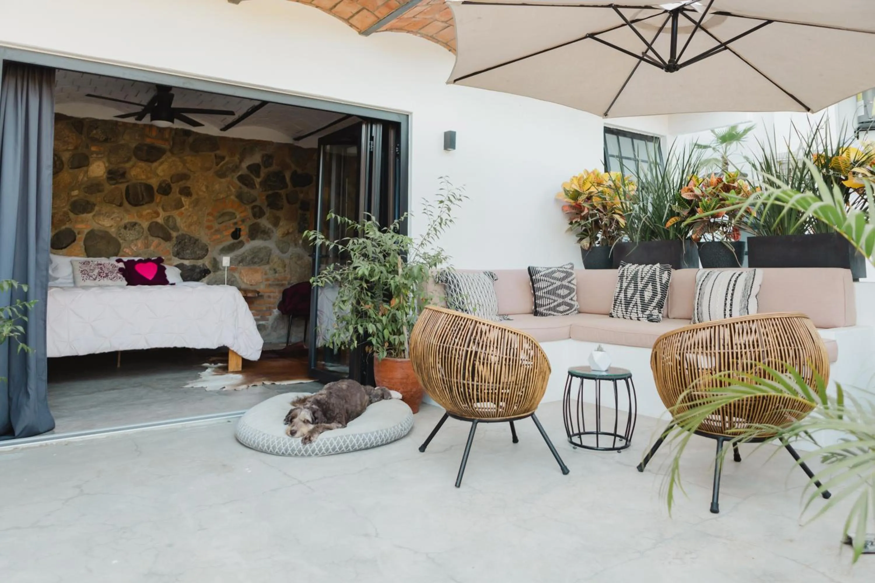 Patio in Casa Fenix