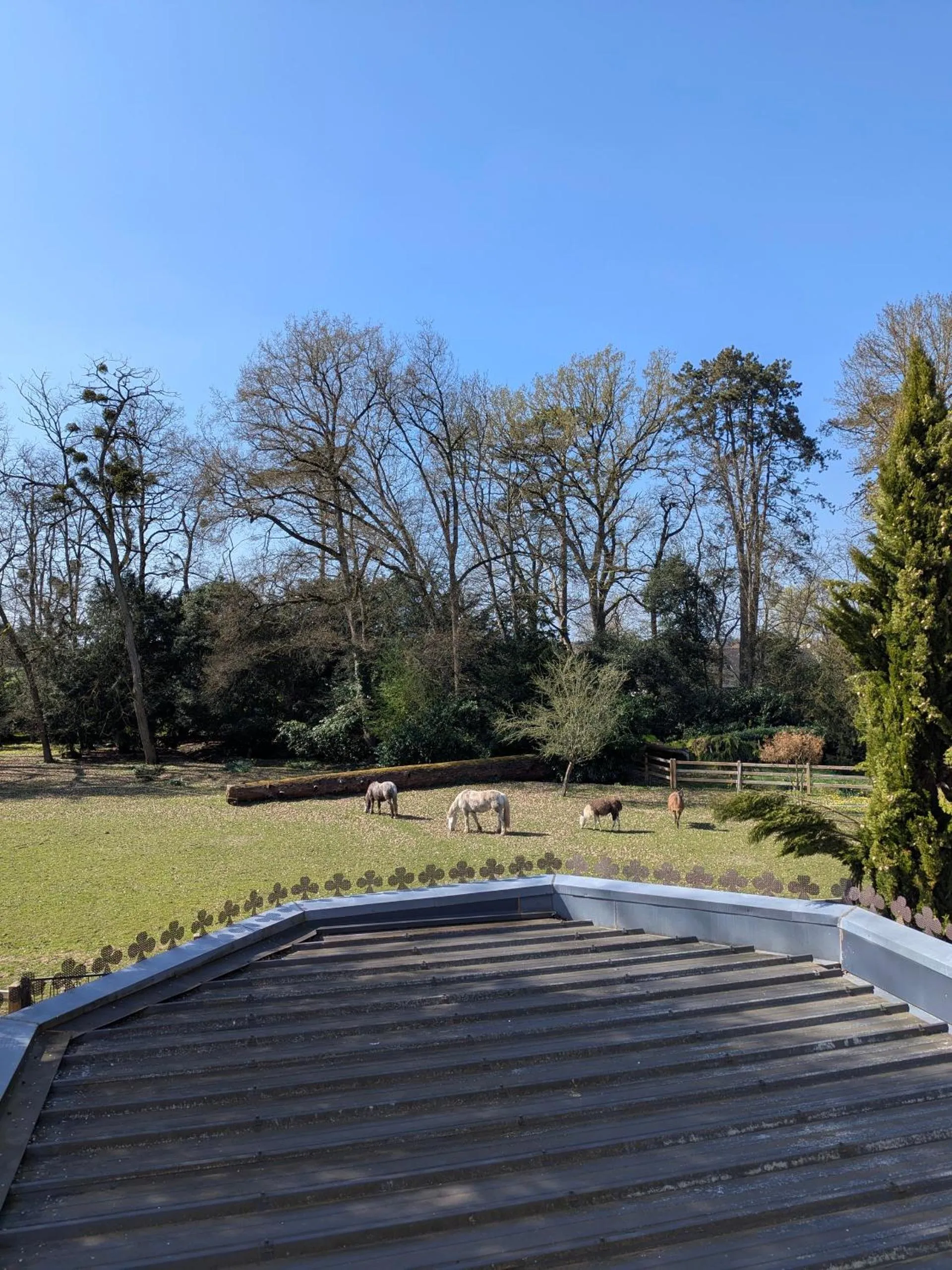 Animals in Manoir de la Maison Blanche