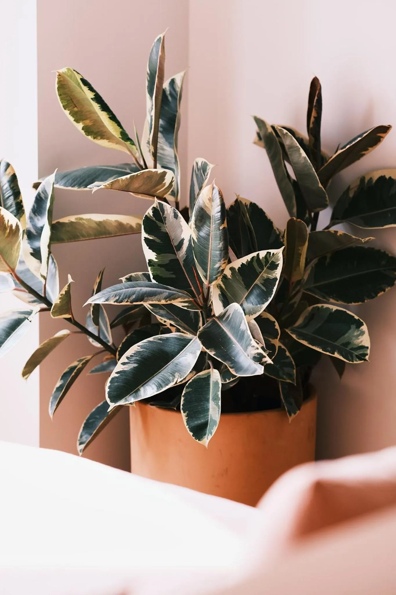 Decorative detail in guesthouse by good neighbor