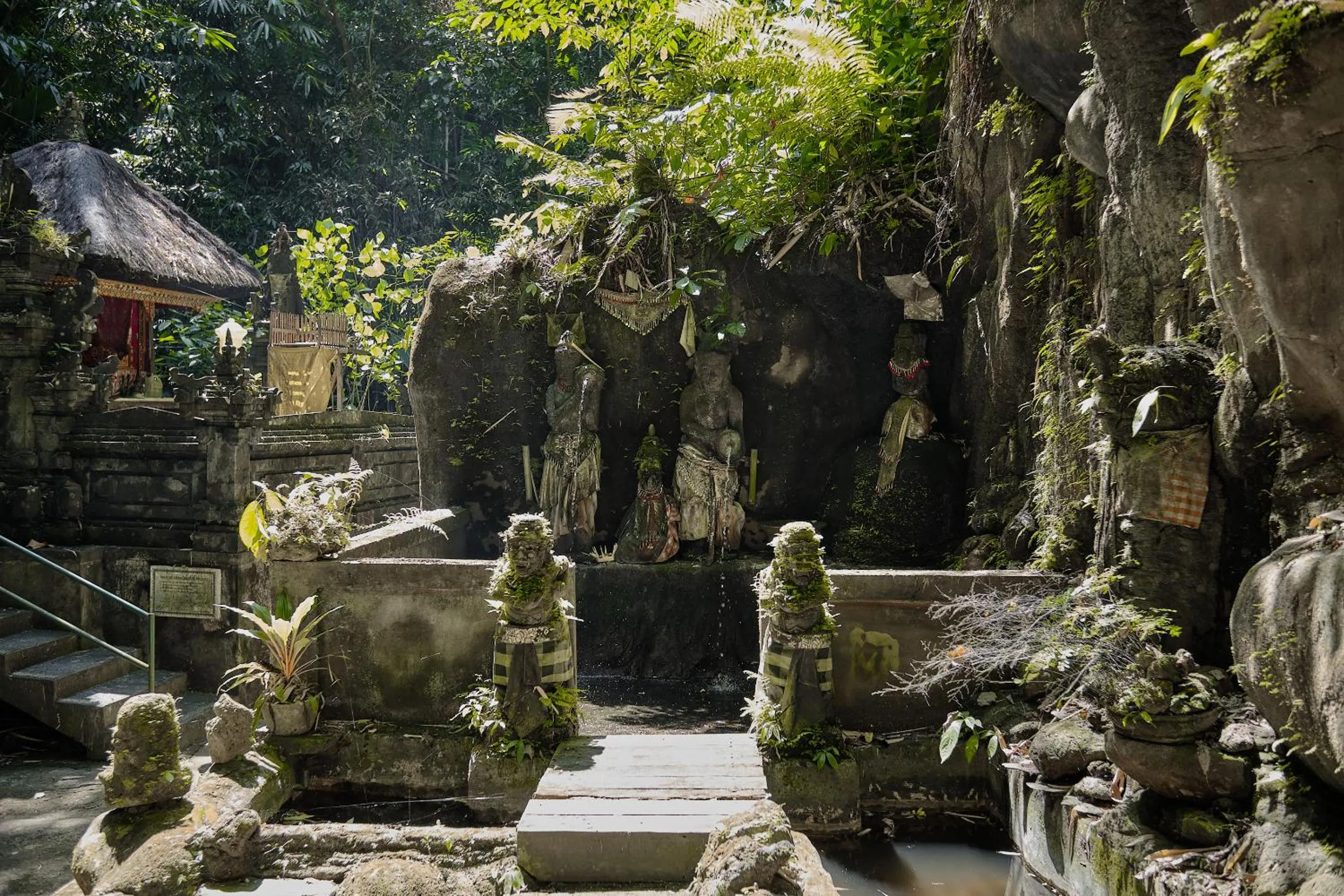Natural landscape in Tigata Ubud Cottage